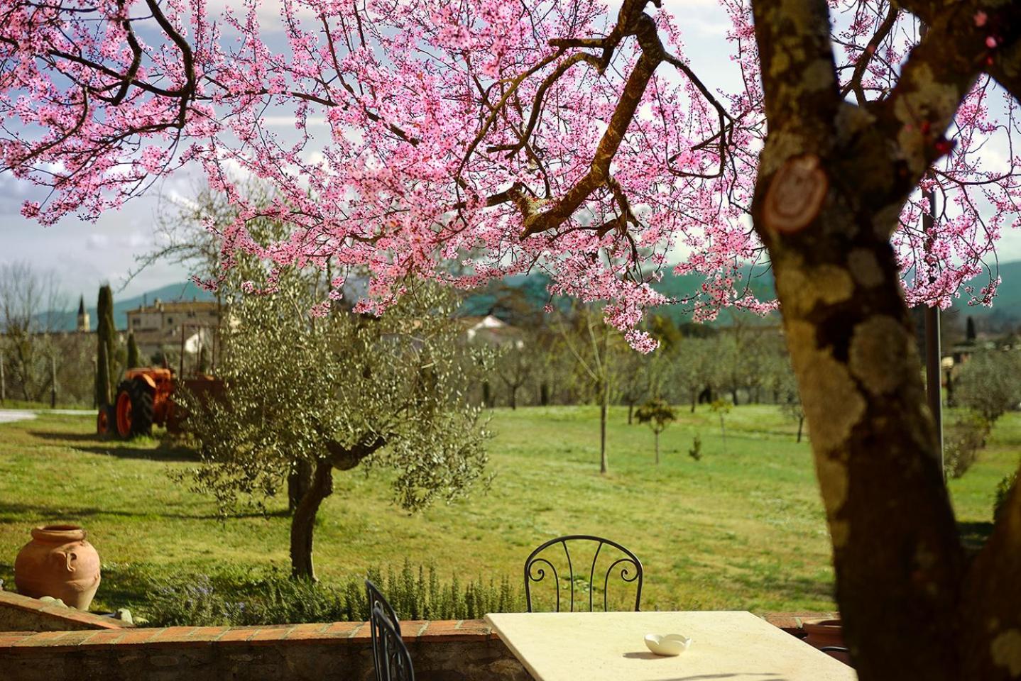 Amedea Tuscany Country Experience