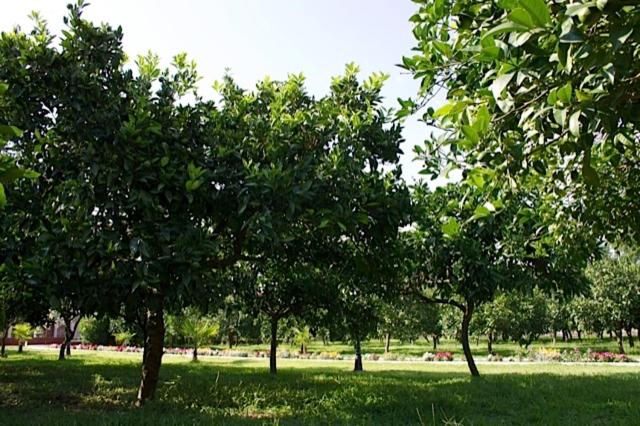 Photo 48