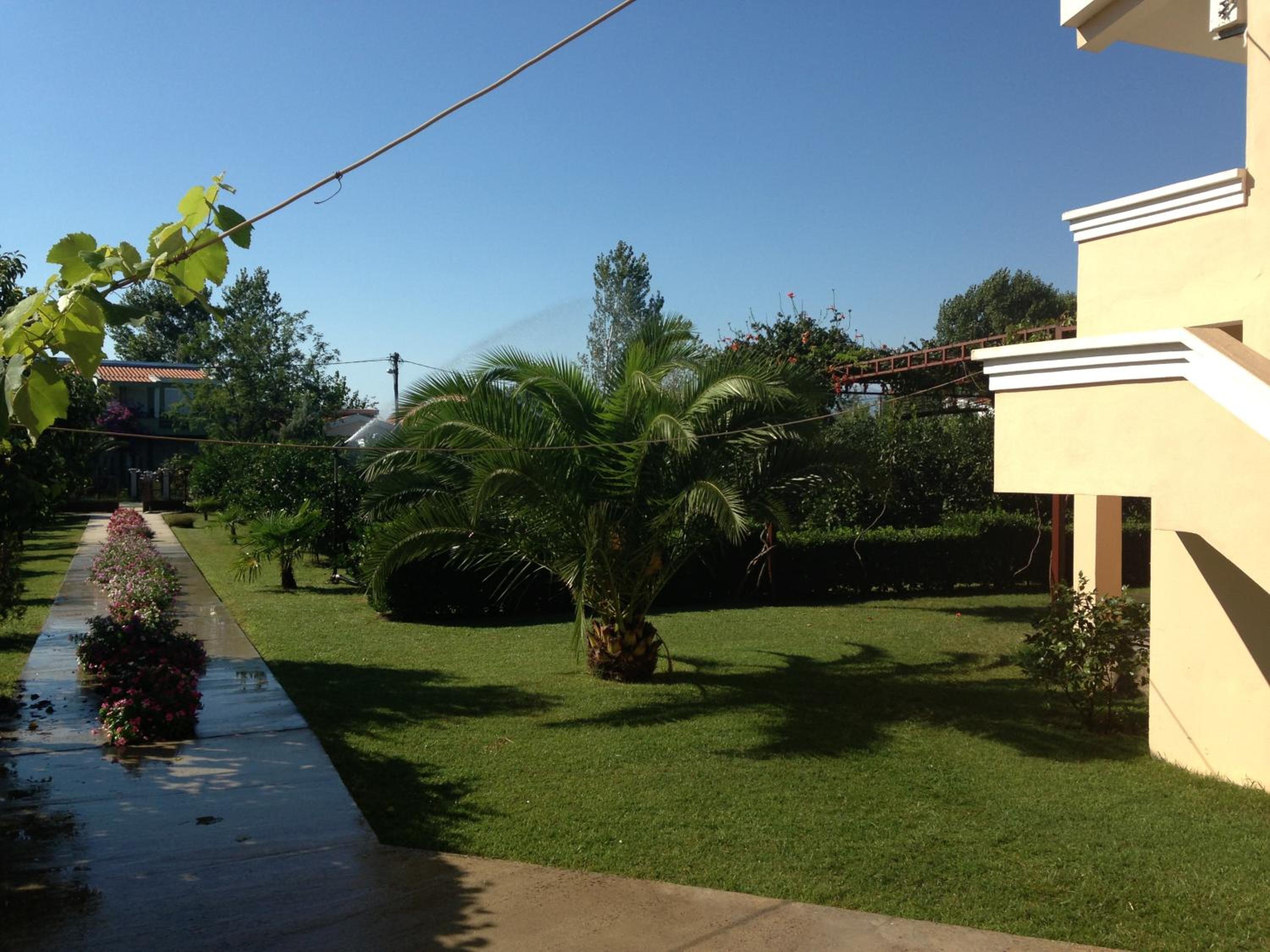 Photo 45