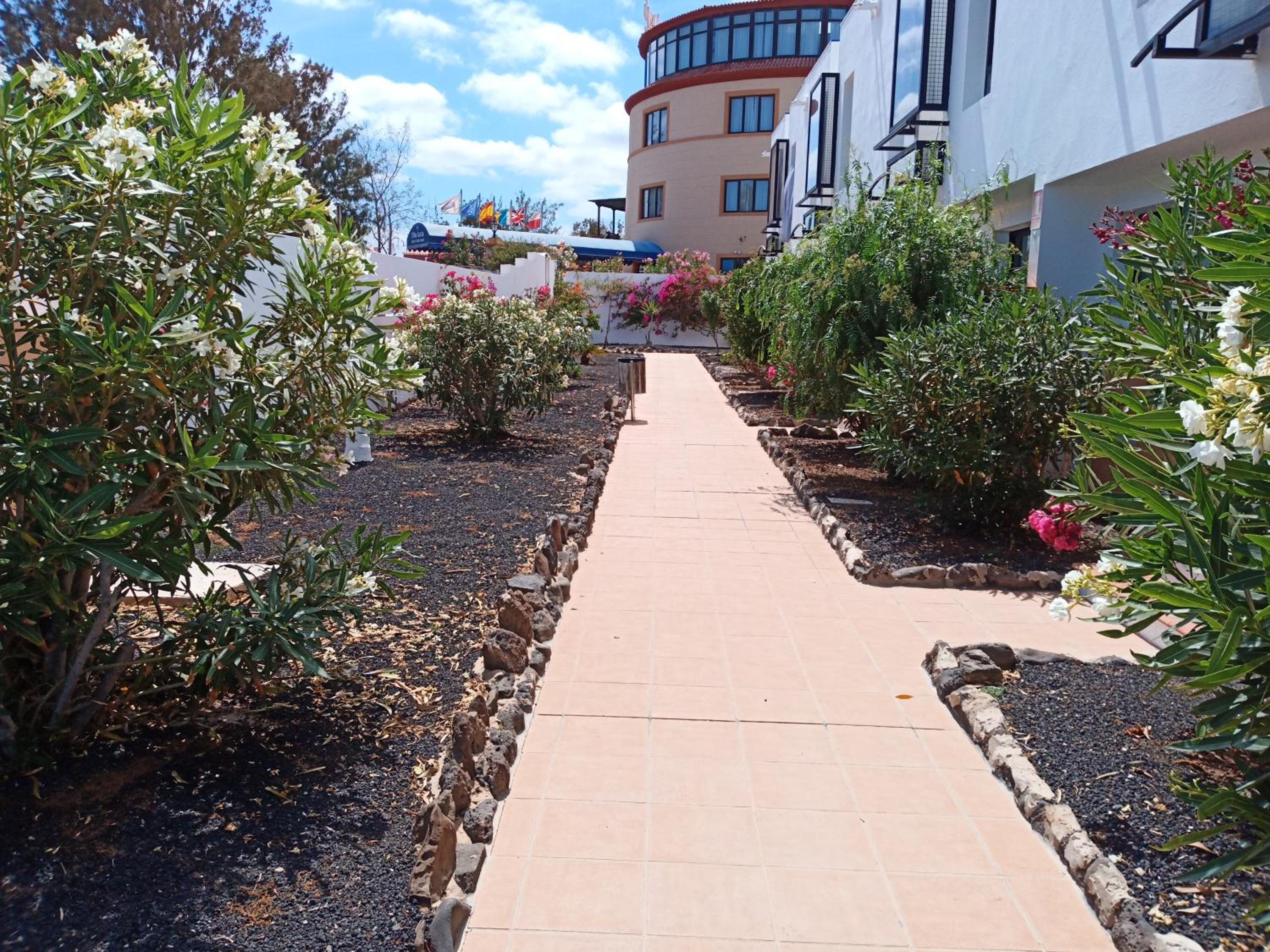 Apartamento SMILE Complex Amaya Fuerteventura