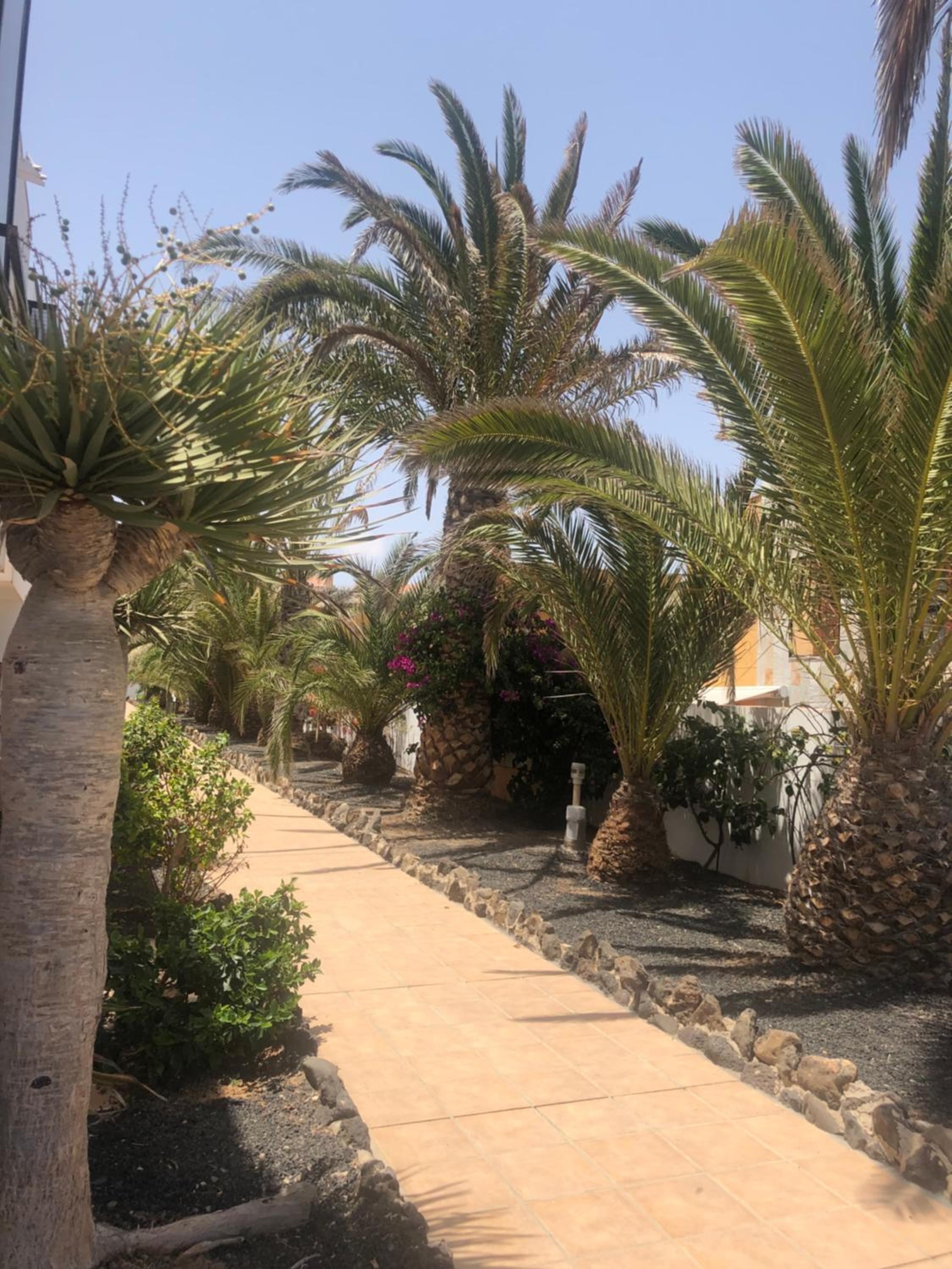 Apartamento SMILE Complex Amaya Fuerteventura