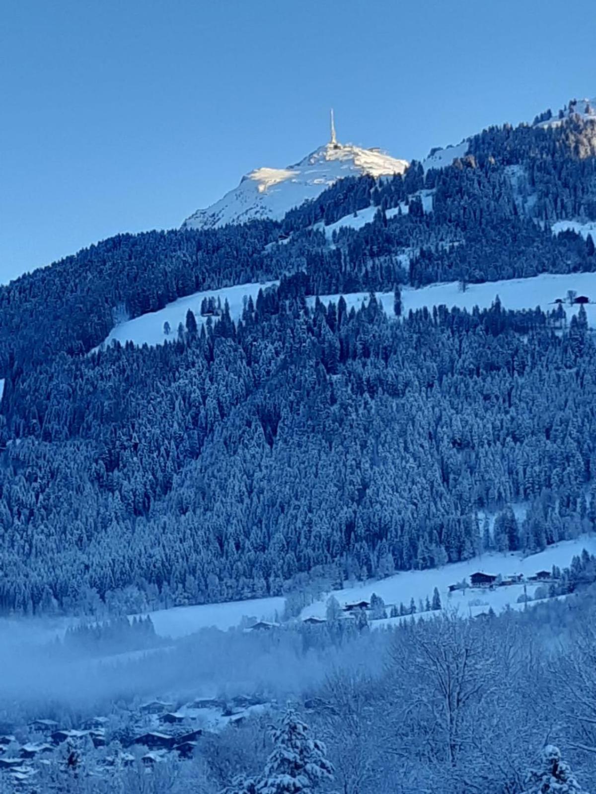 Pension Feiersinger
