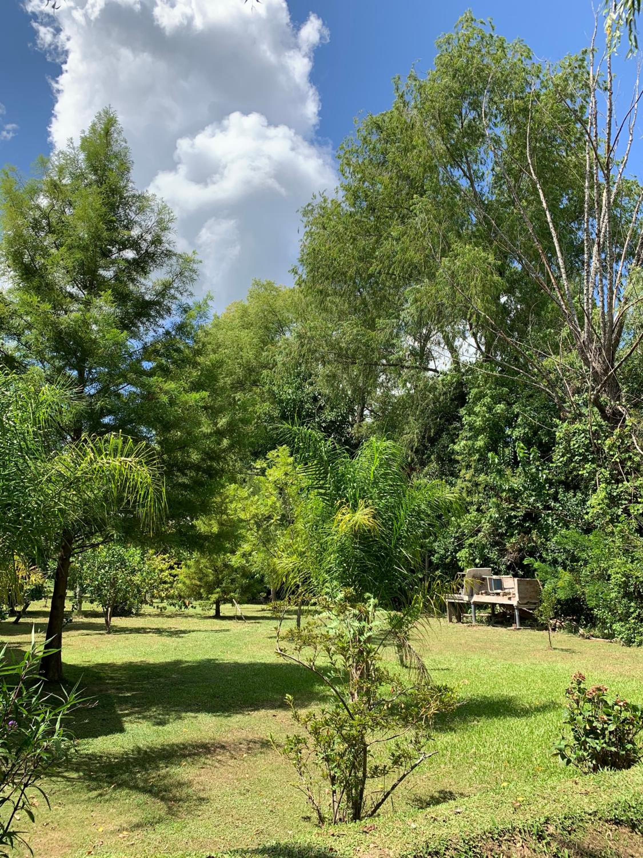 Cabaña Magnolia en Marea Delta del Tigre