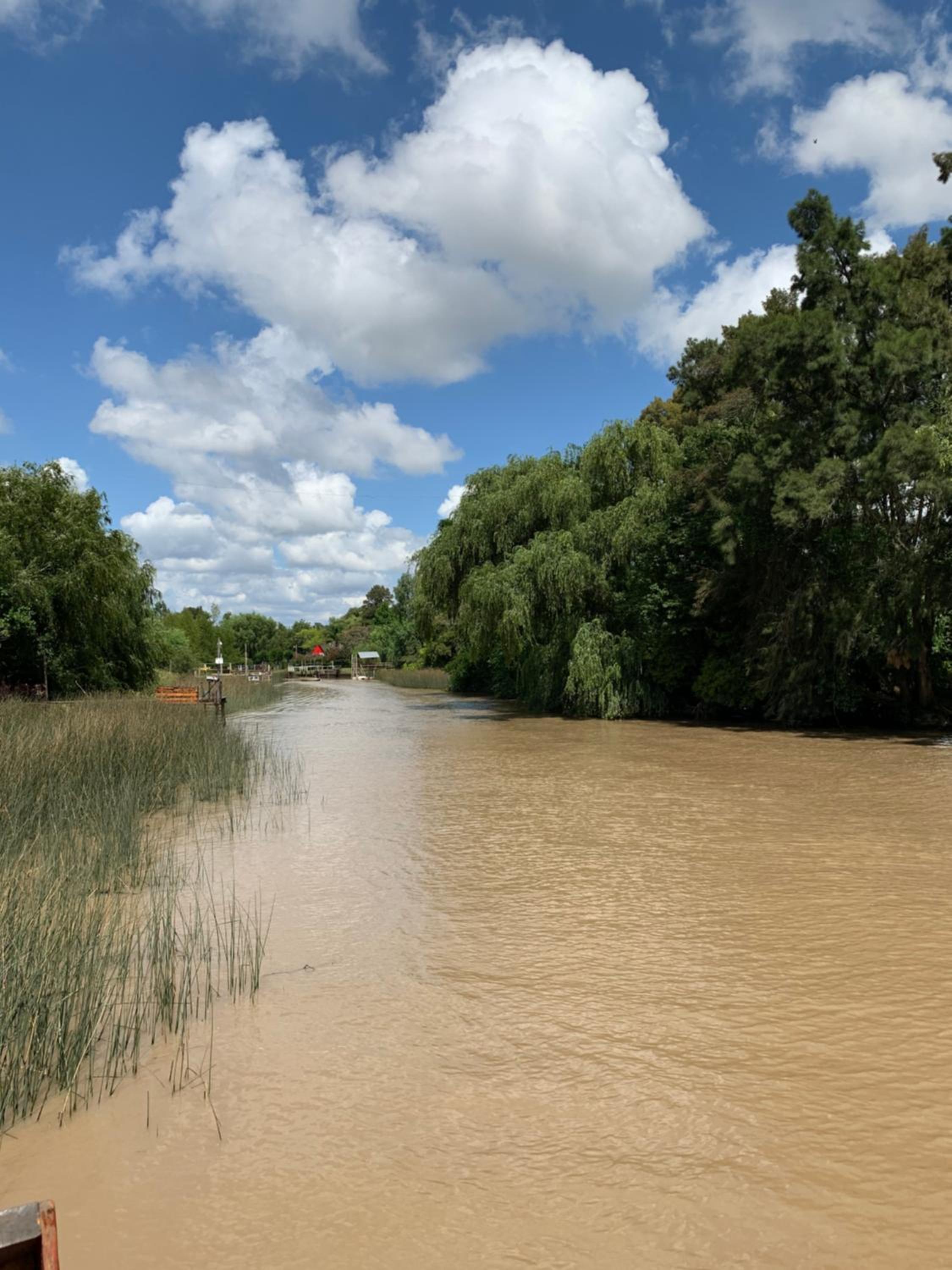 Cabaña Magnolia en Marea Delta del Tigre