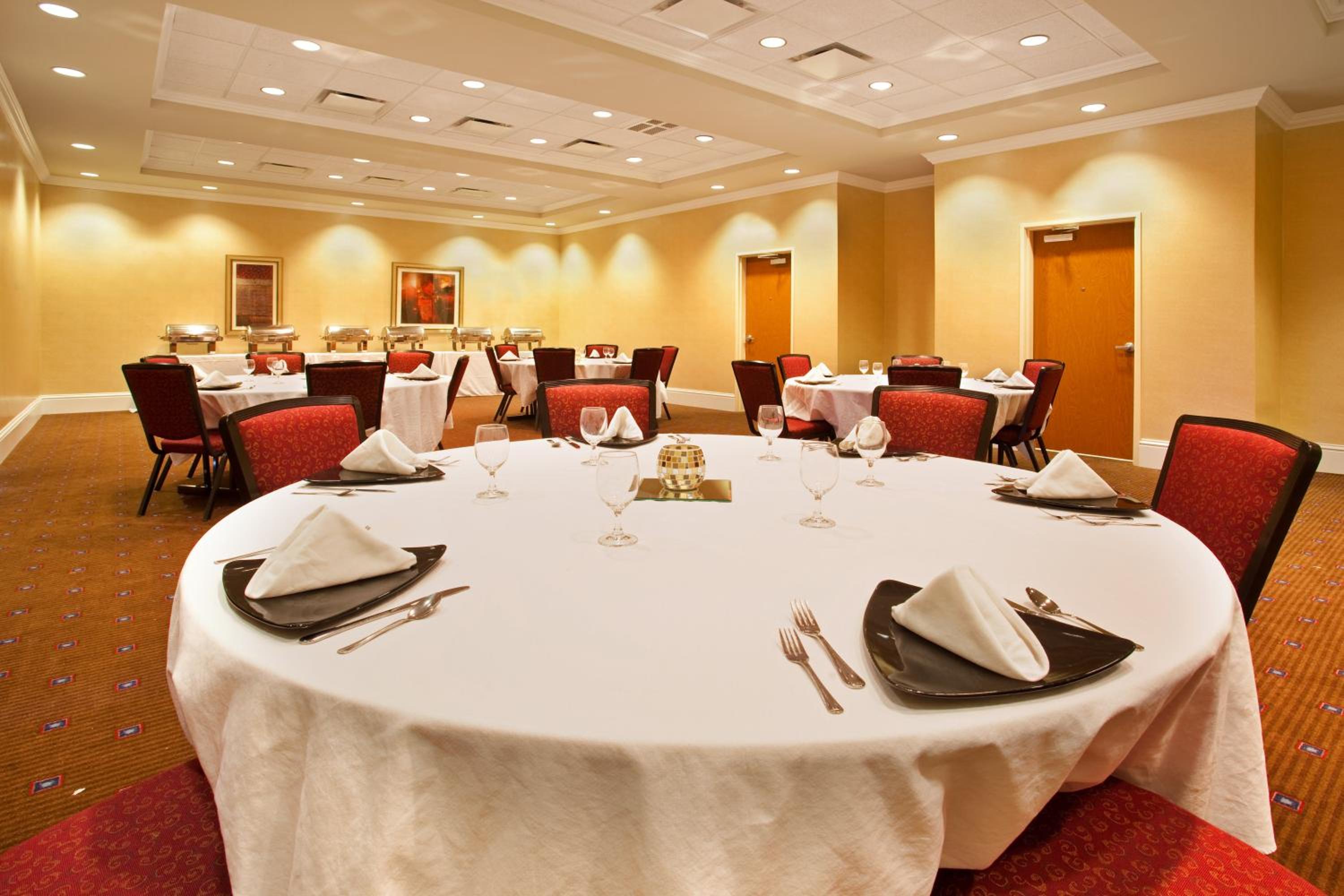 Aurora Vacations - Holiday Inn Aurora North - Naperville, an IHG Hotel - Property Image 14