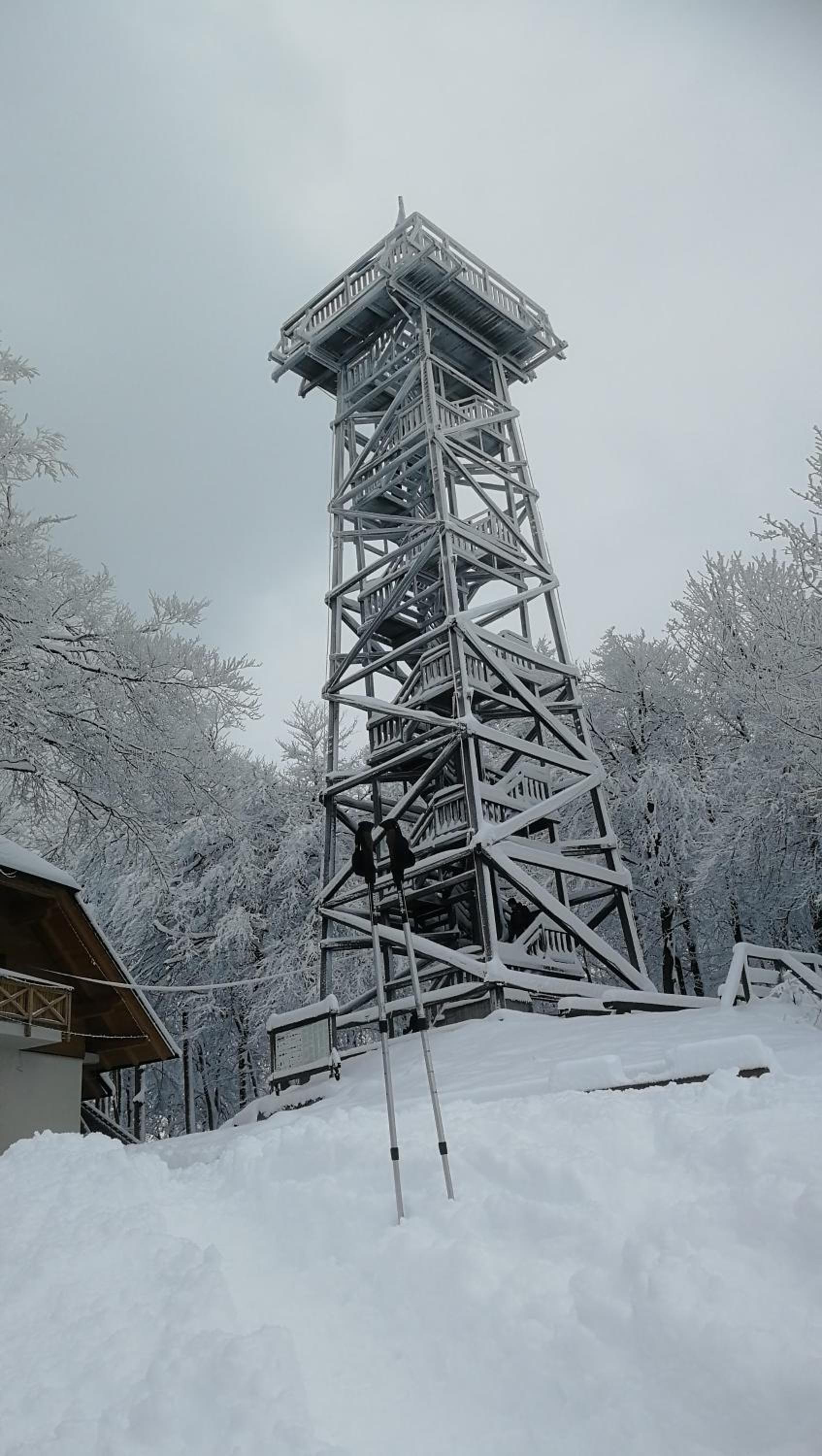 Nauportus view 5