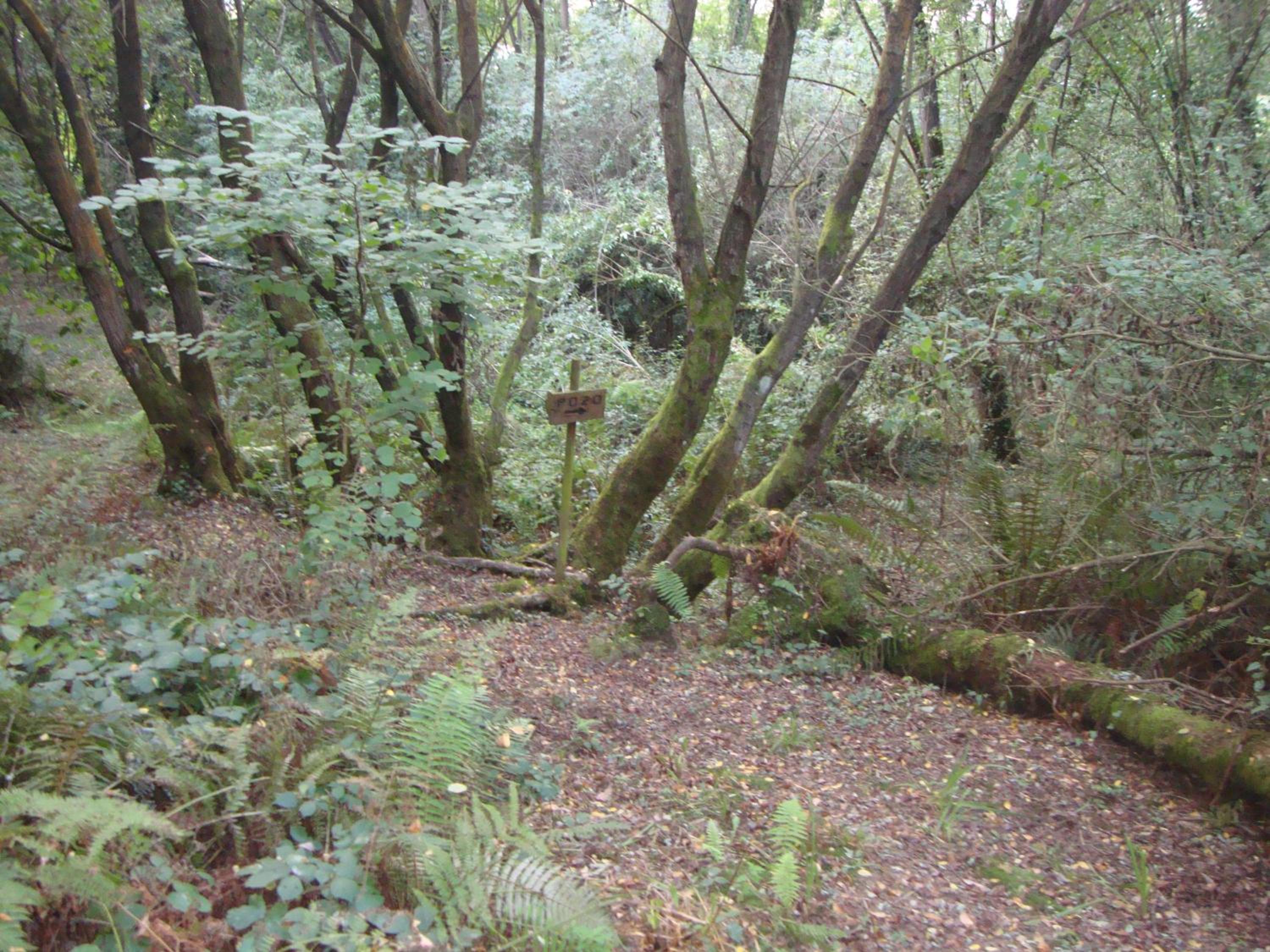 Hotel Rural Rumoroso