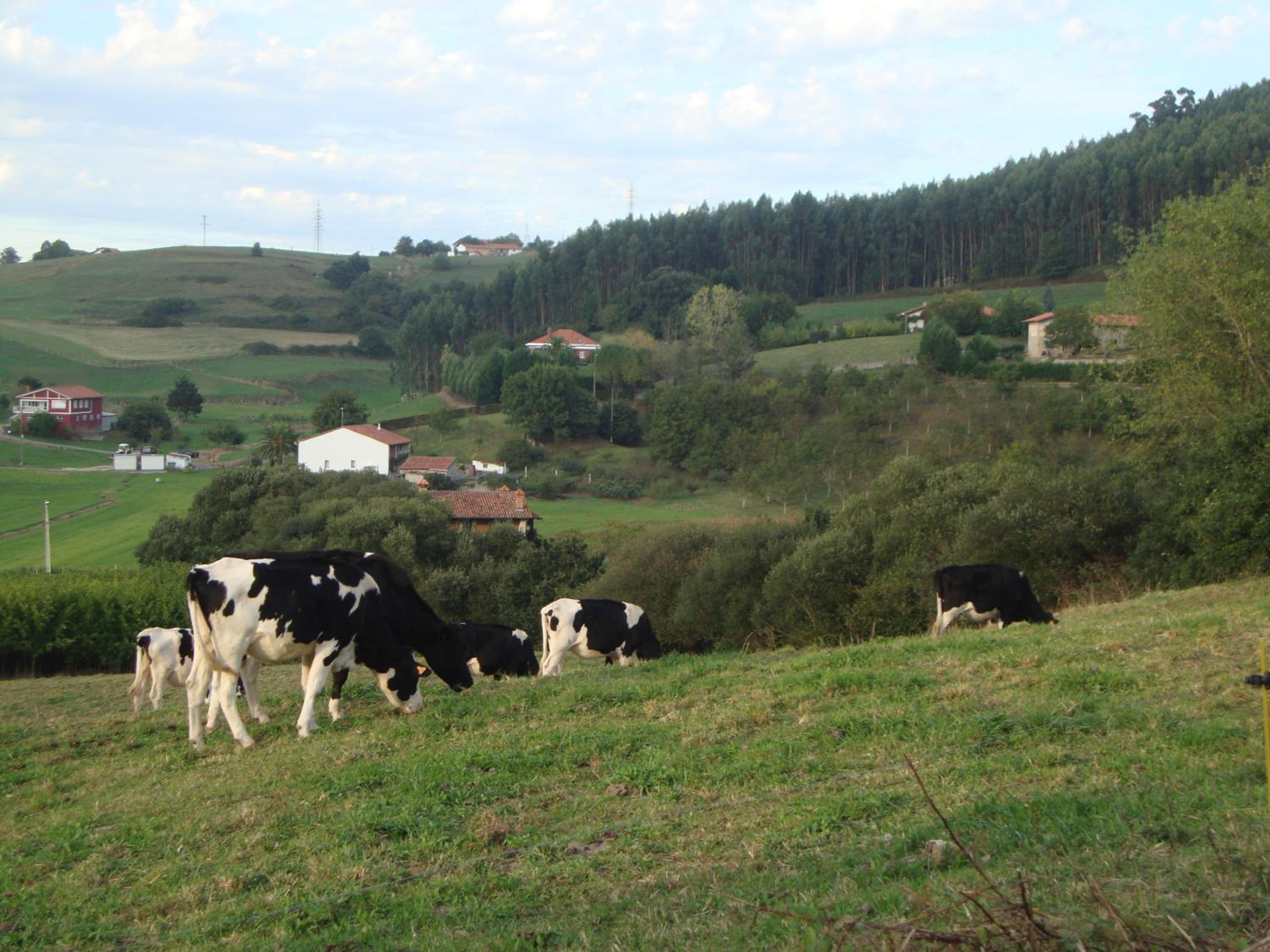 Hotel Rural Rumoroso