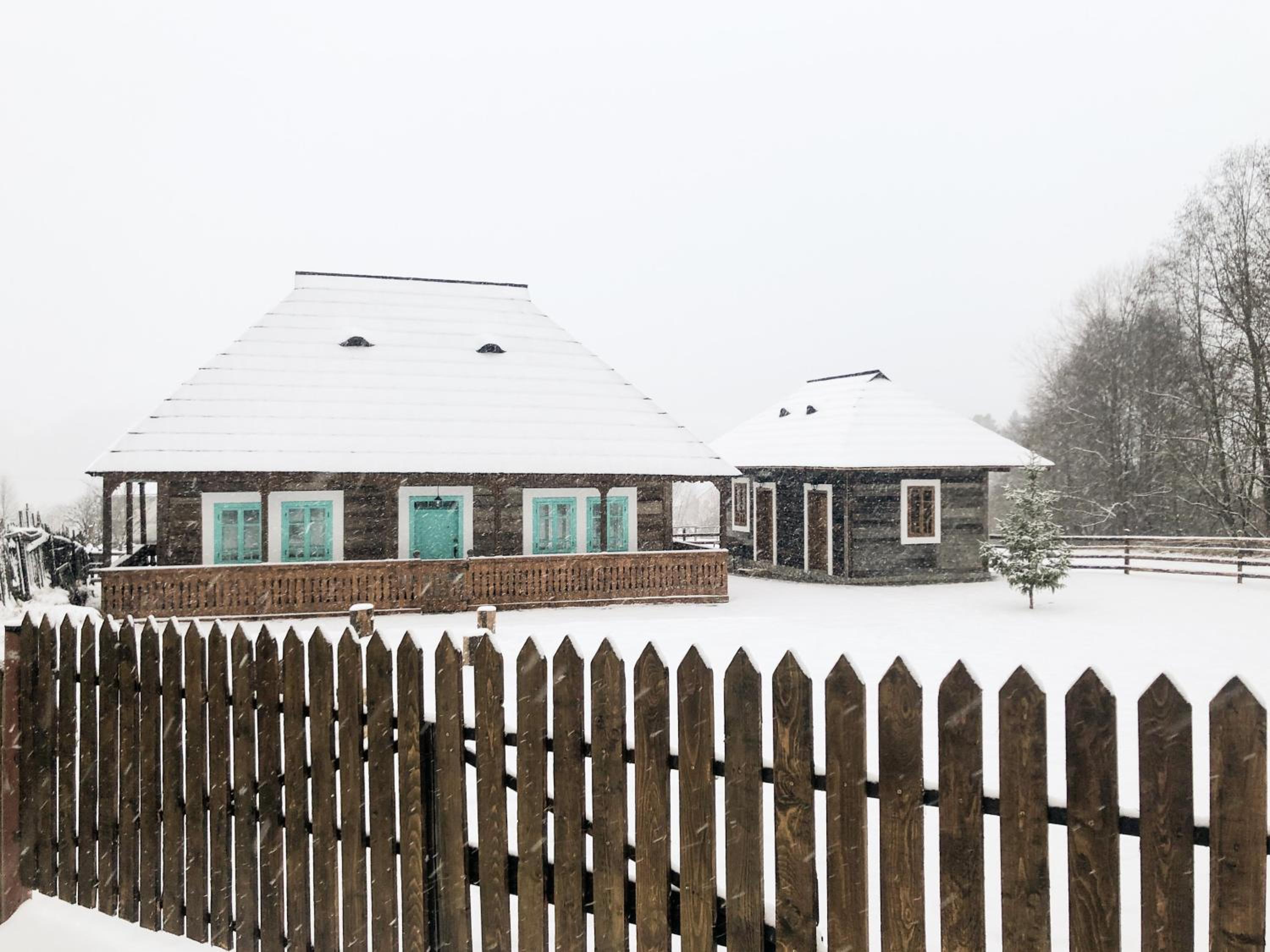 Photo 41