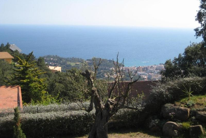 Club Villamar - Caipirinha view 2