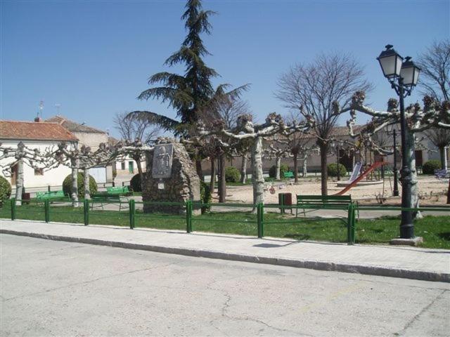 Photo 8