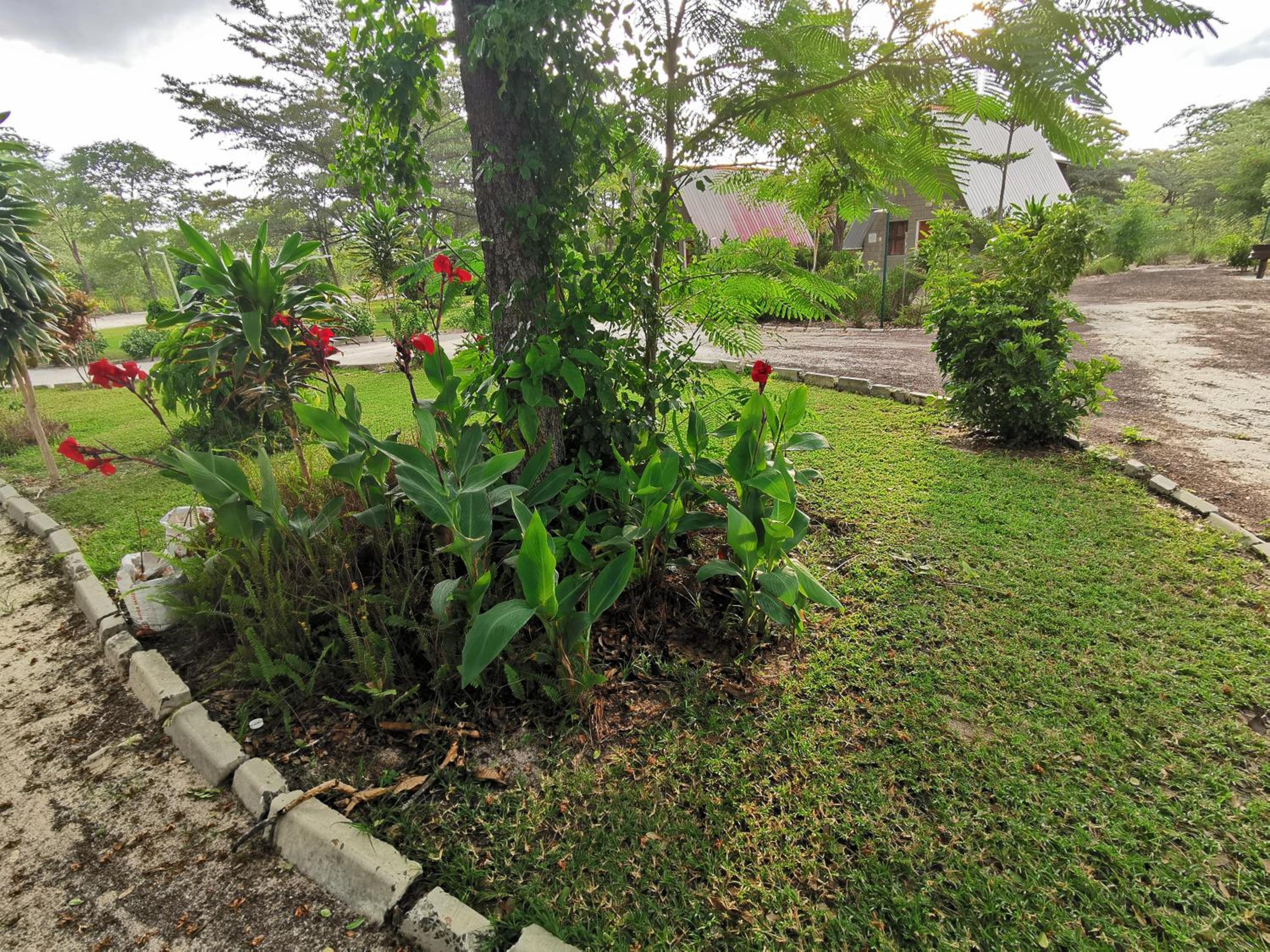 Photo 17