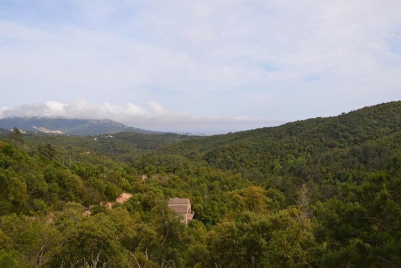 Club Villamar - Tropics photo 3