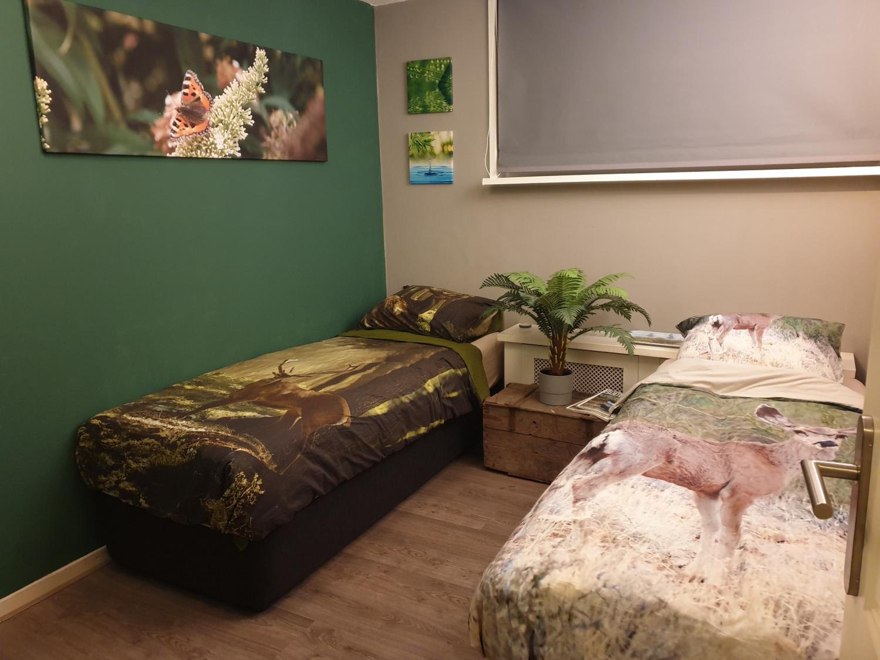 Photo 6