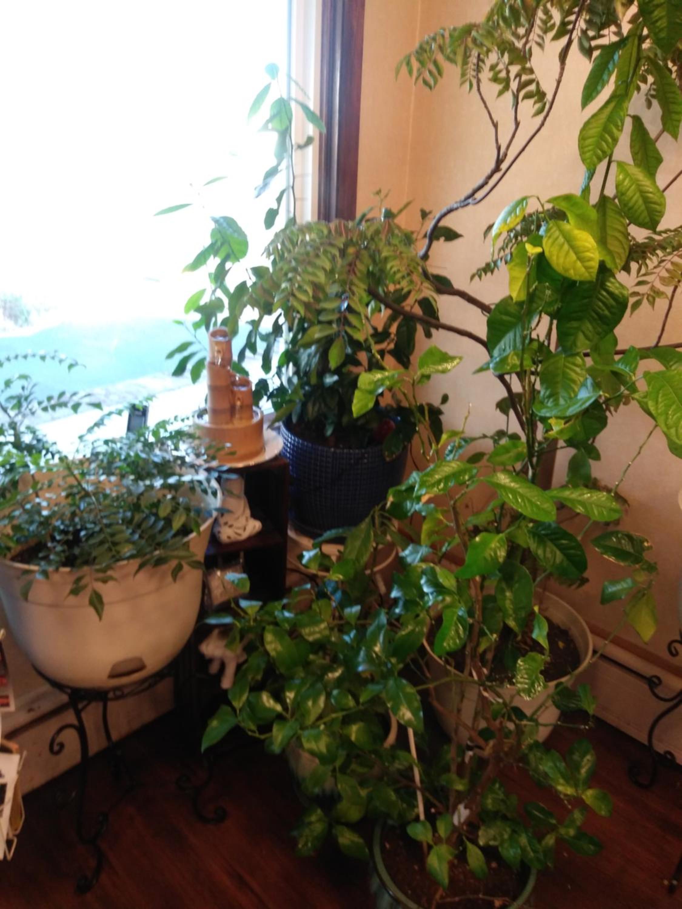 Photo 9