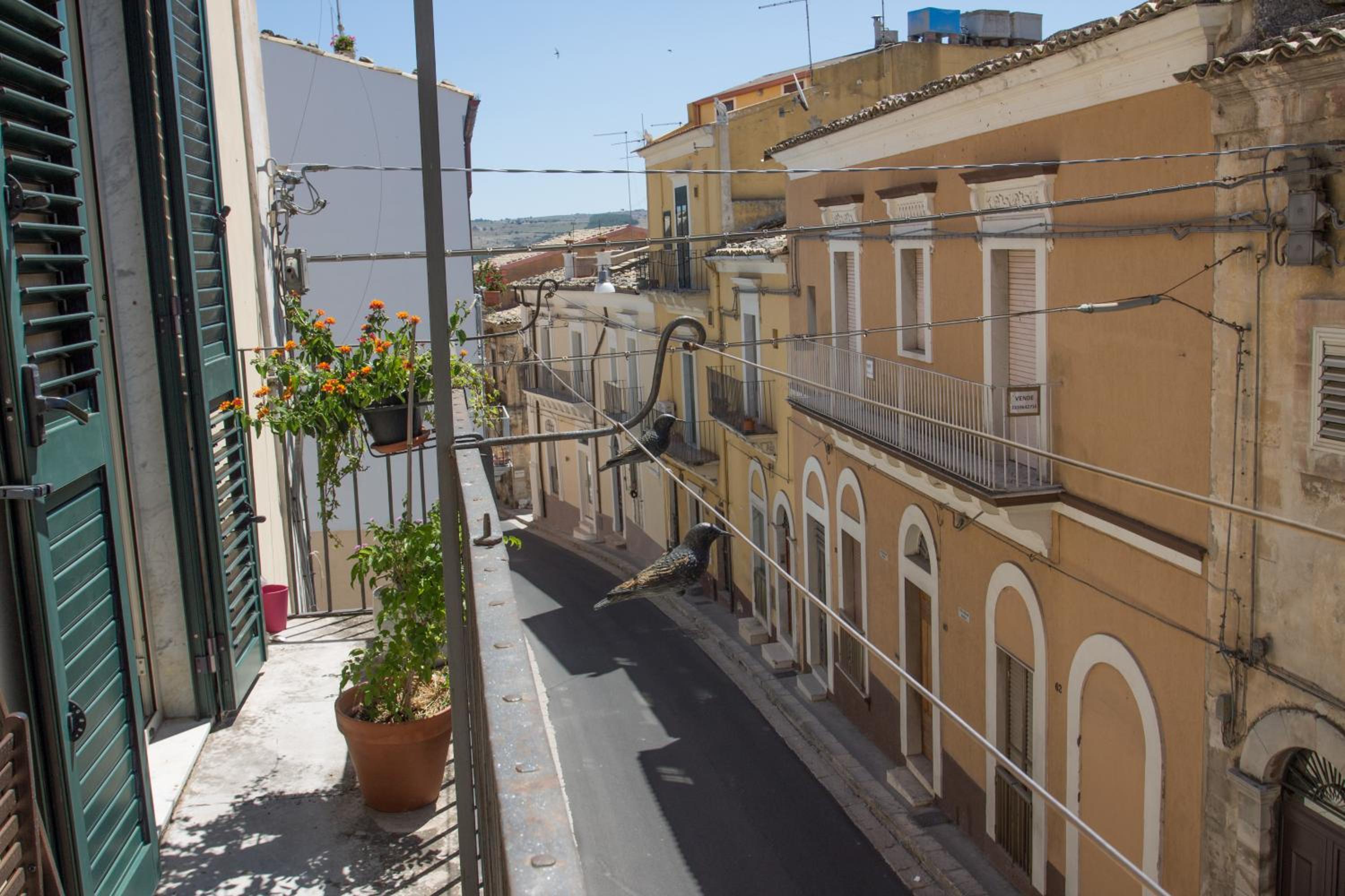 Casa verde Dafni photo 2