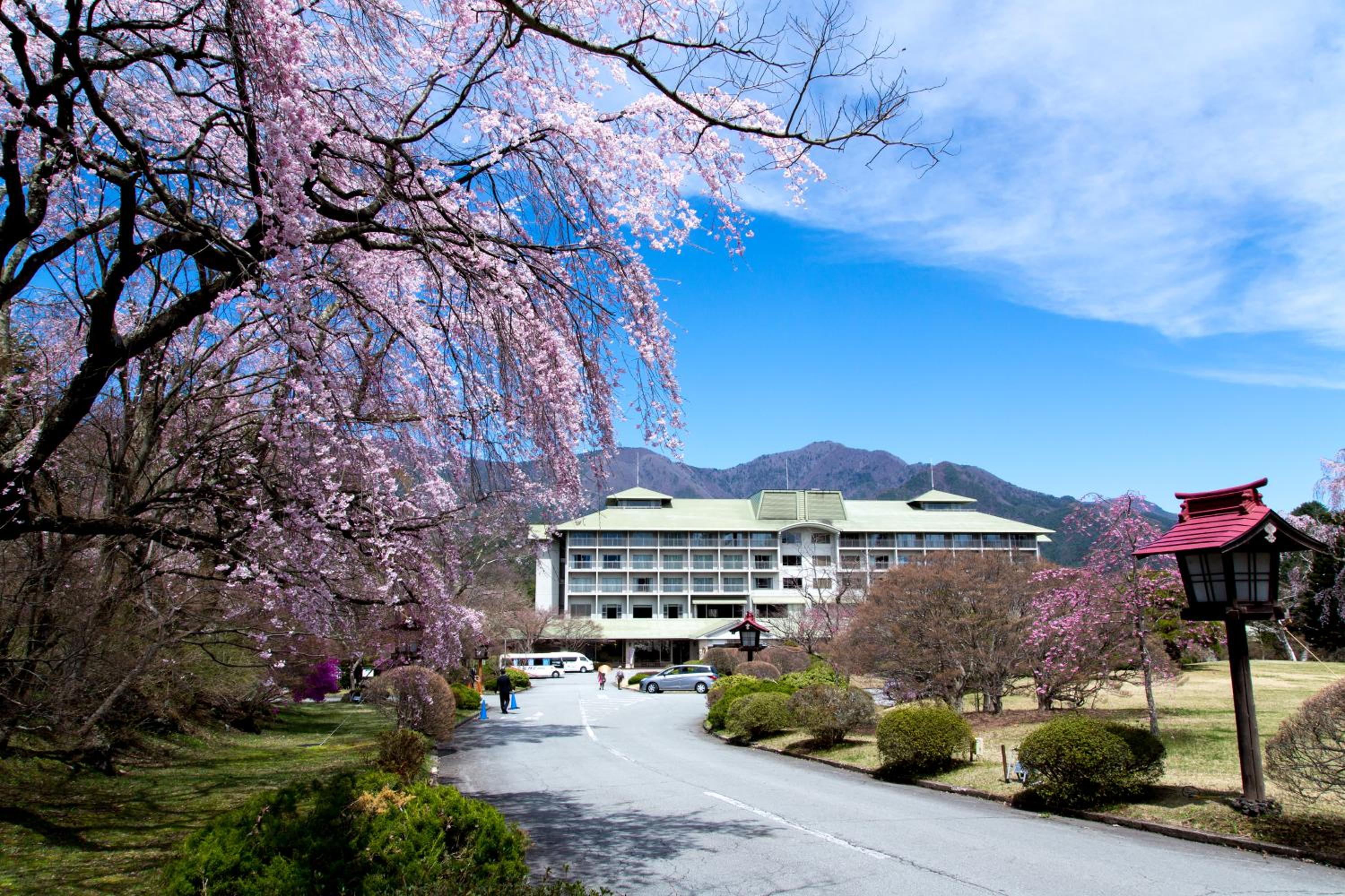 Fuji View Hotel