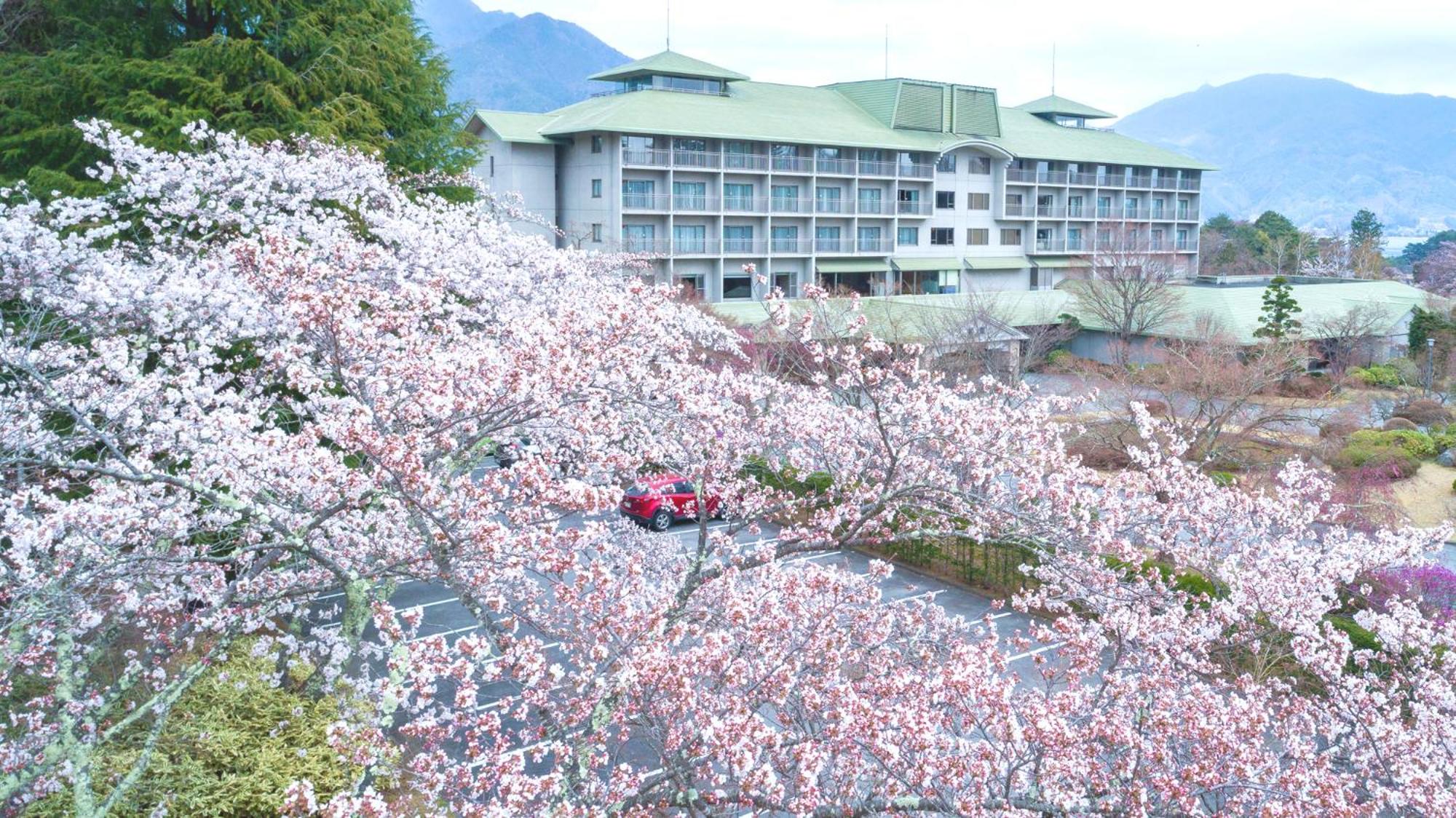 Fuji View Hotel