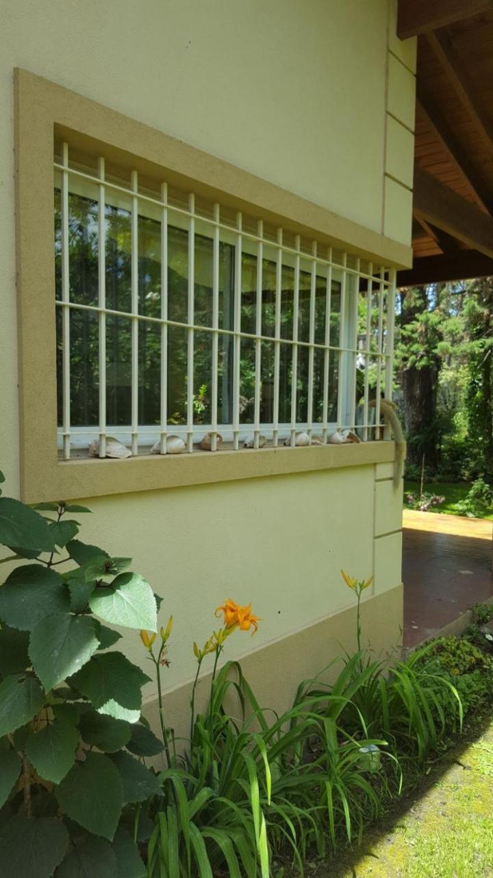 CHALET EN EL BOSQUE