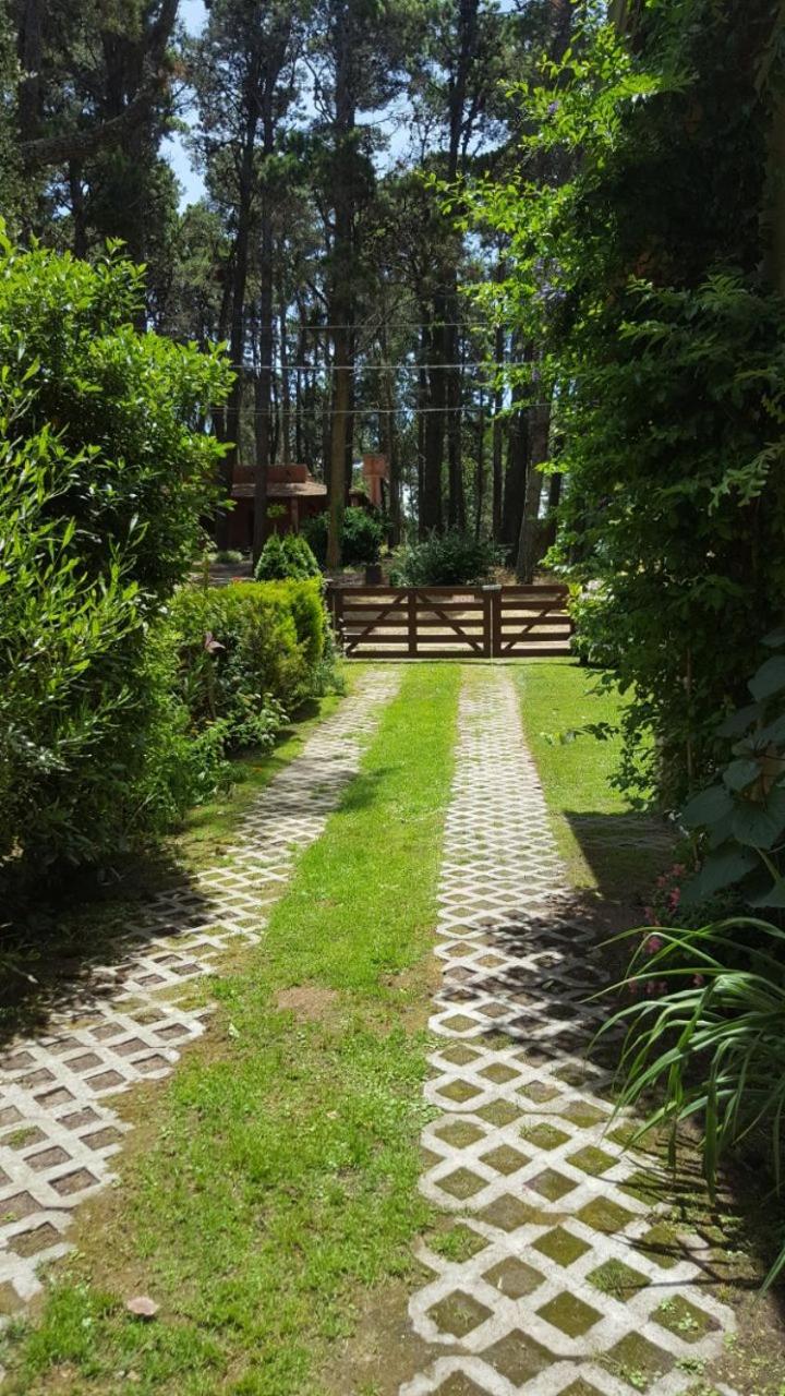 CHALET EN EL BOSQUE