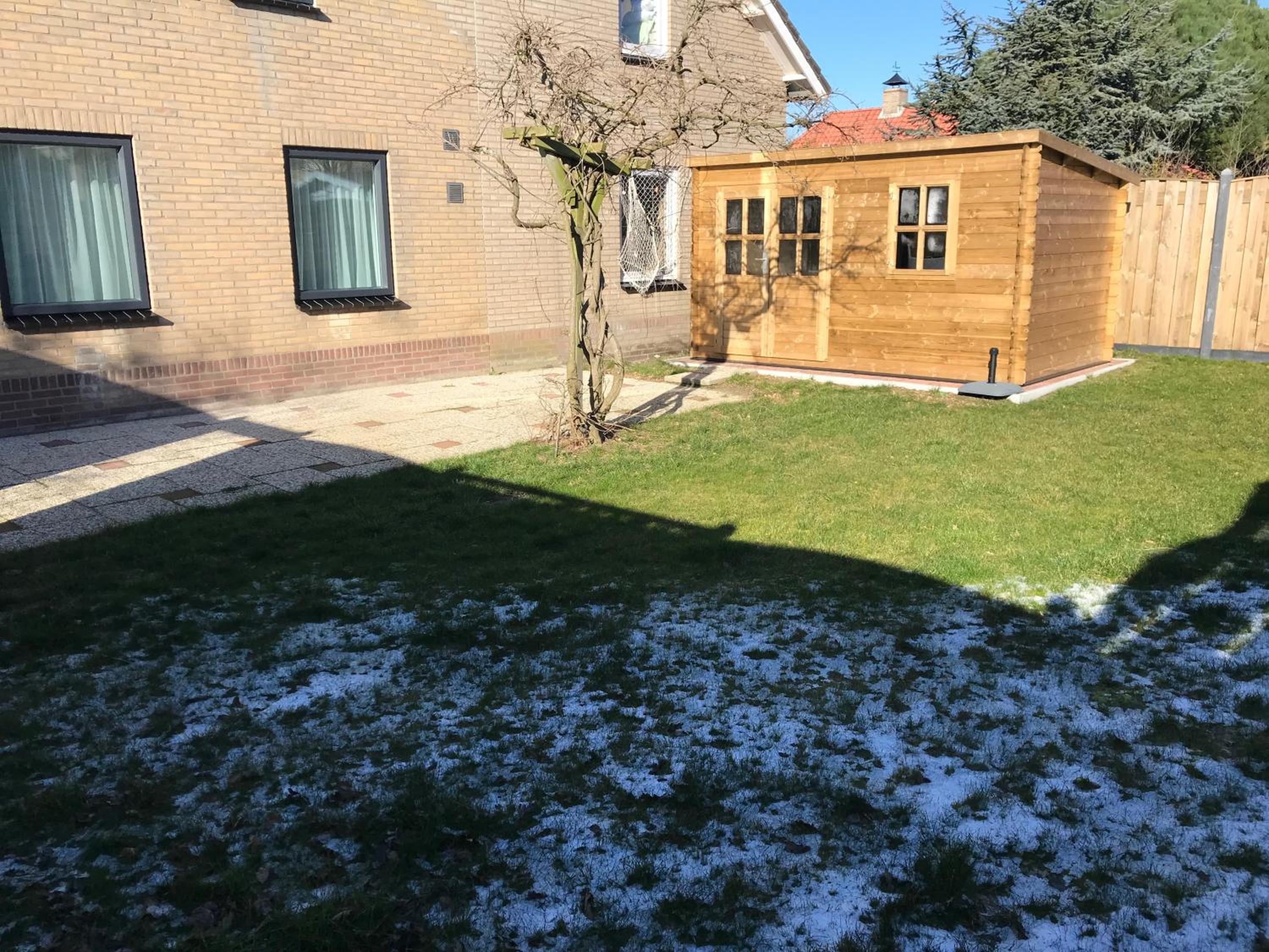 Photo 11