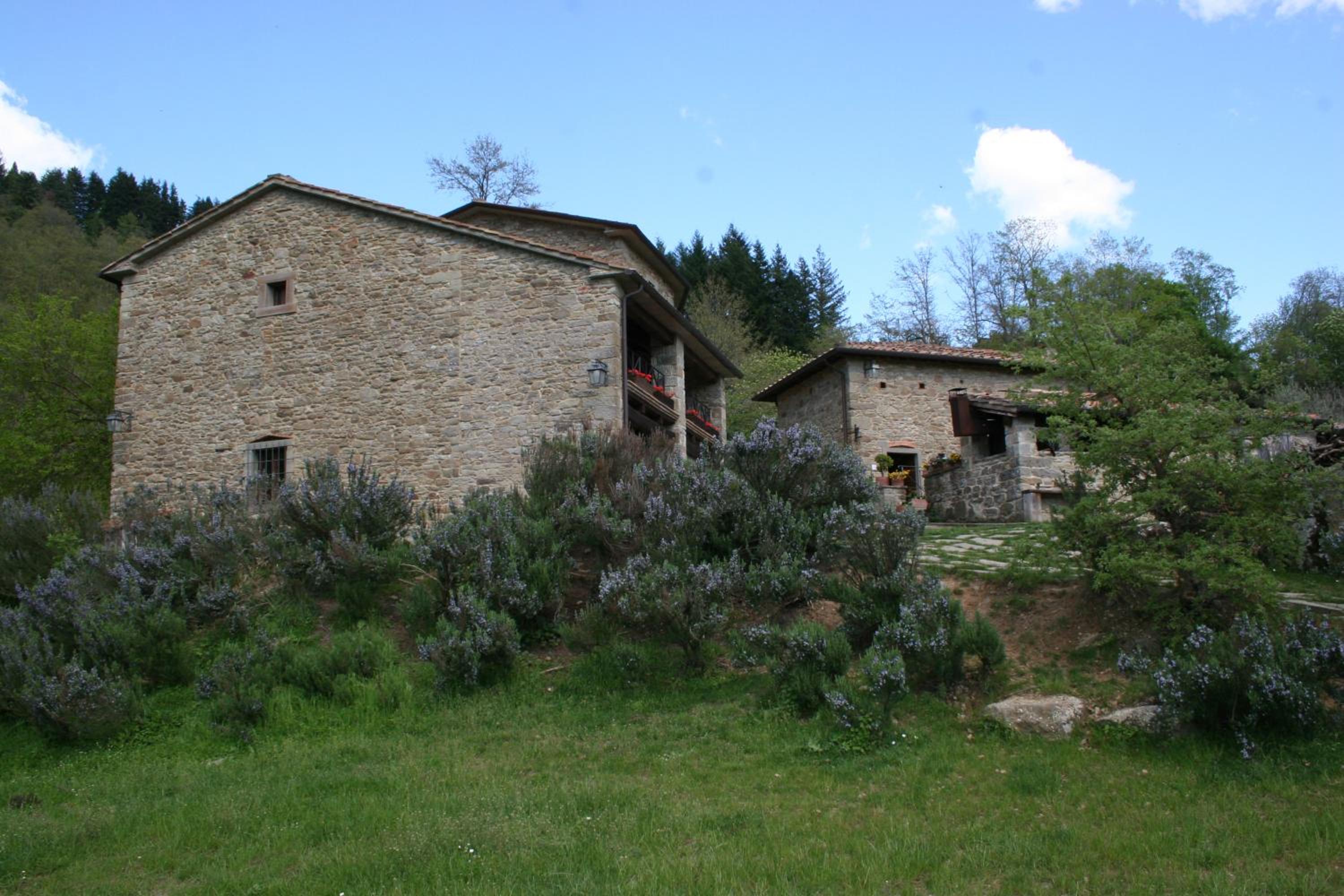 Photo 28