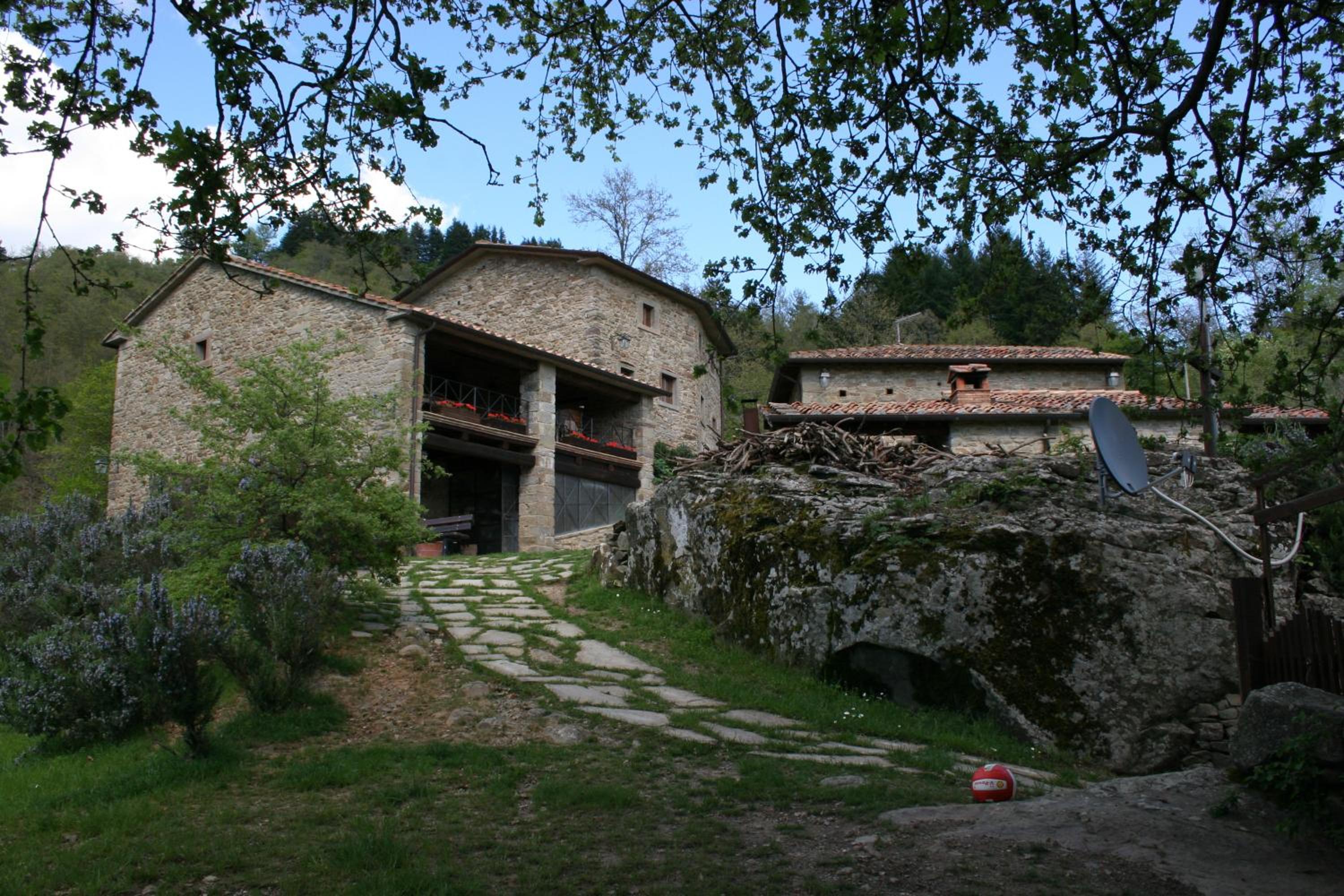 Photo 51