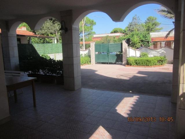 Photo 40
