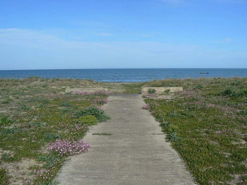 Photo 38