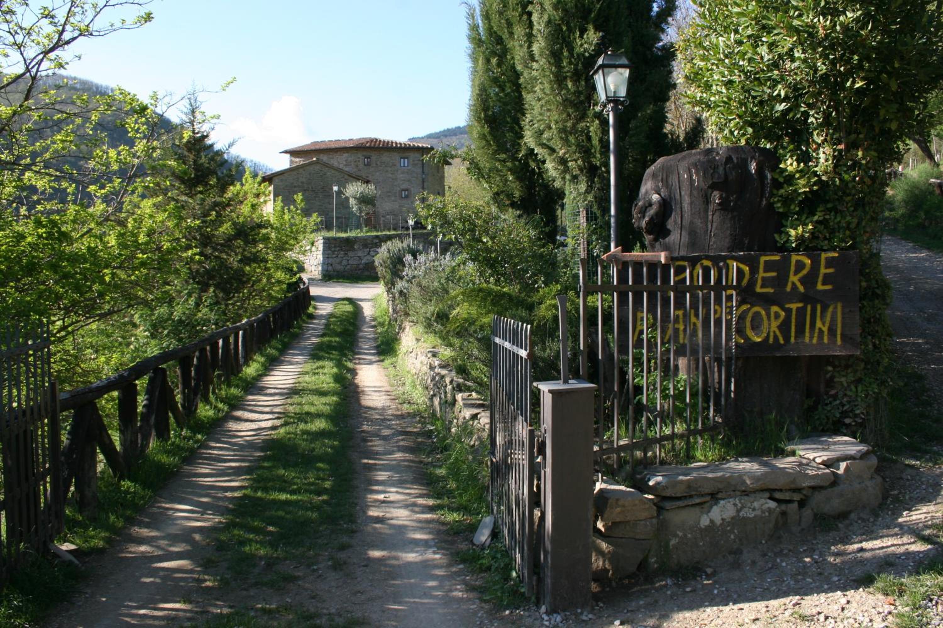 Photo 46