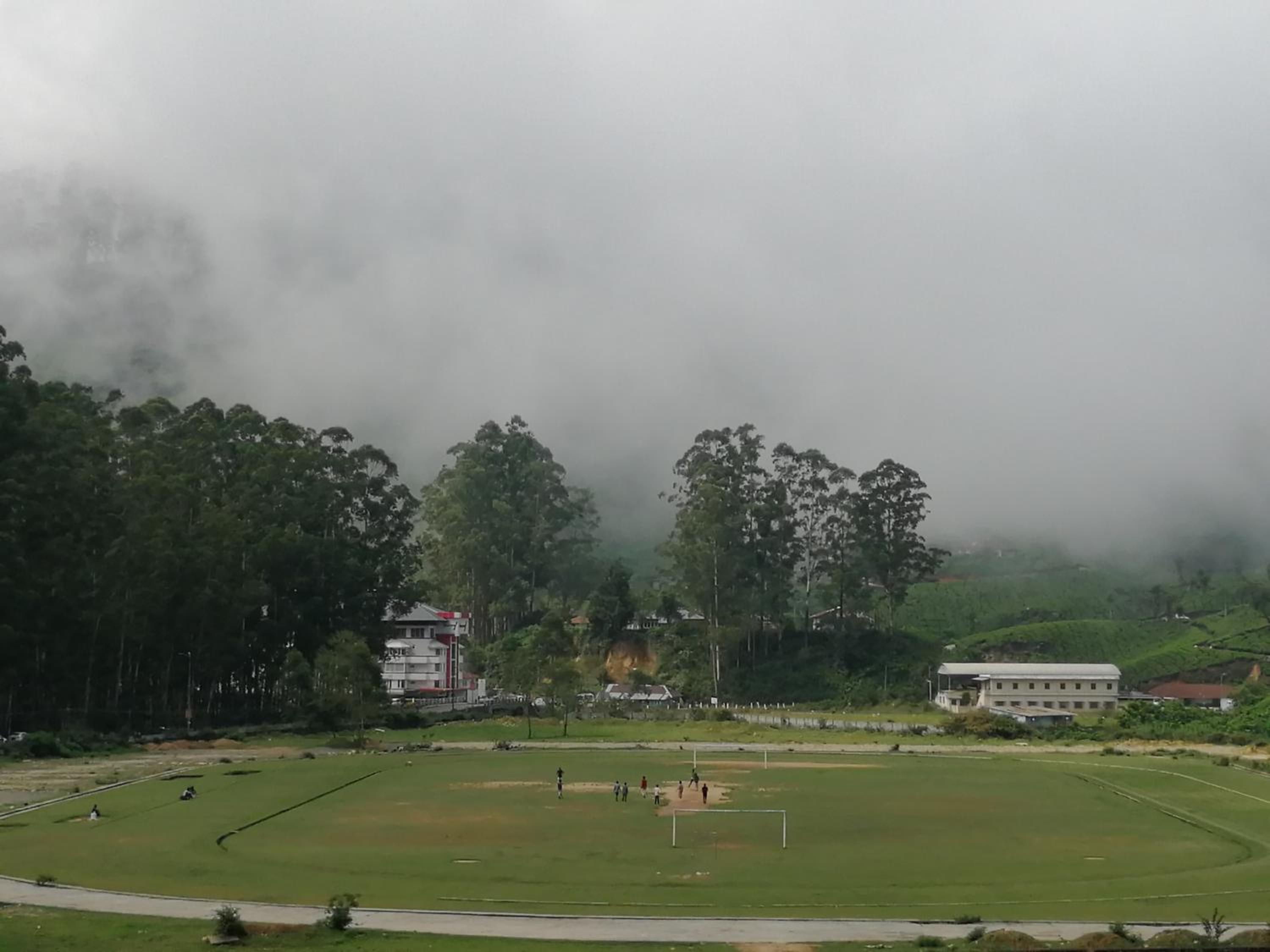 Munnar Days view 3