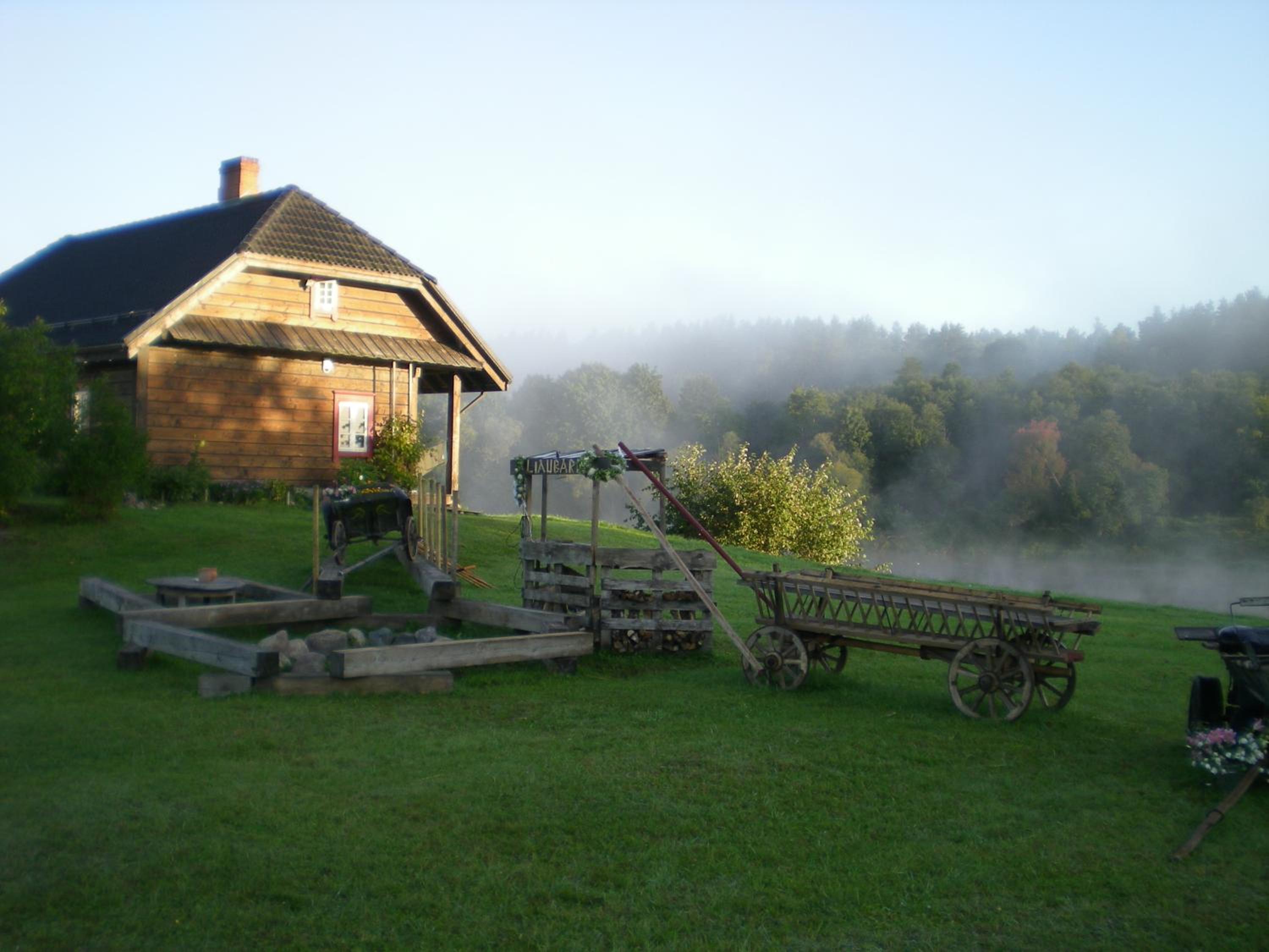 Photo 7