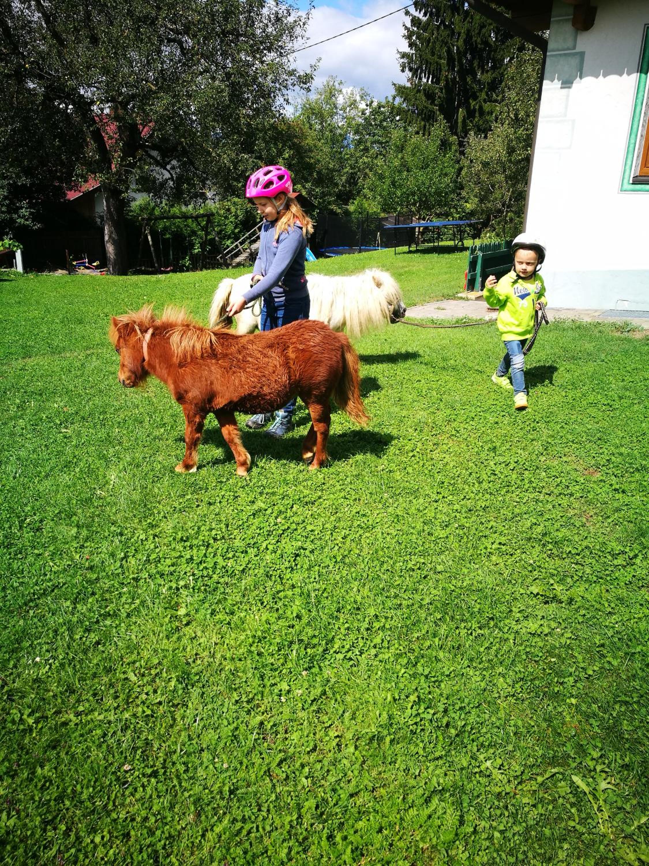 Photo 49