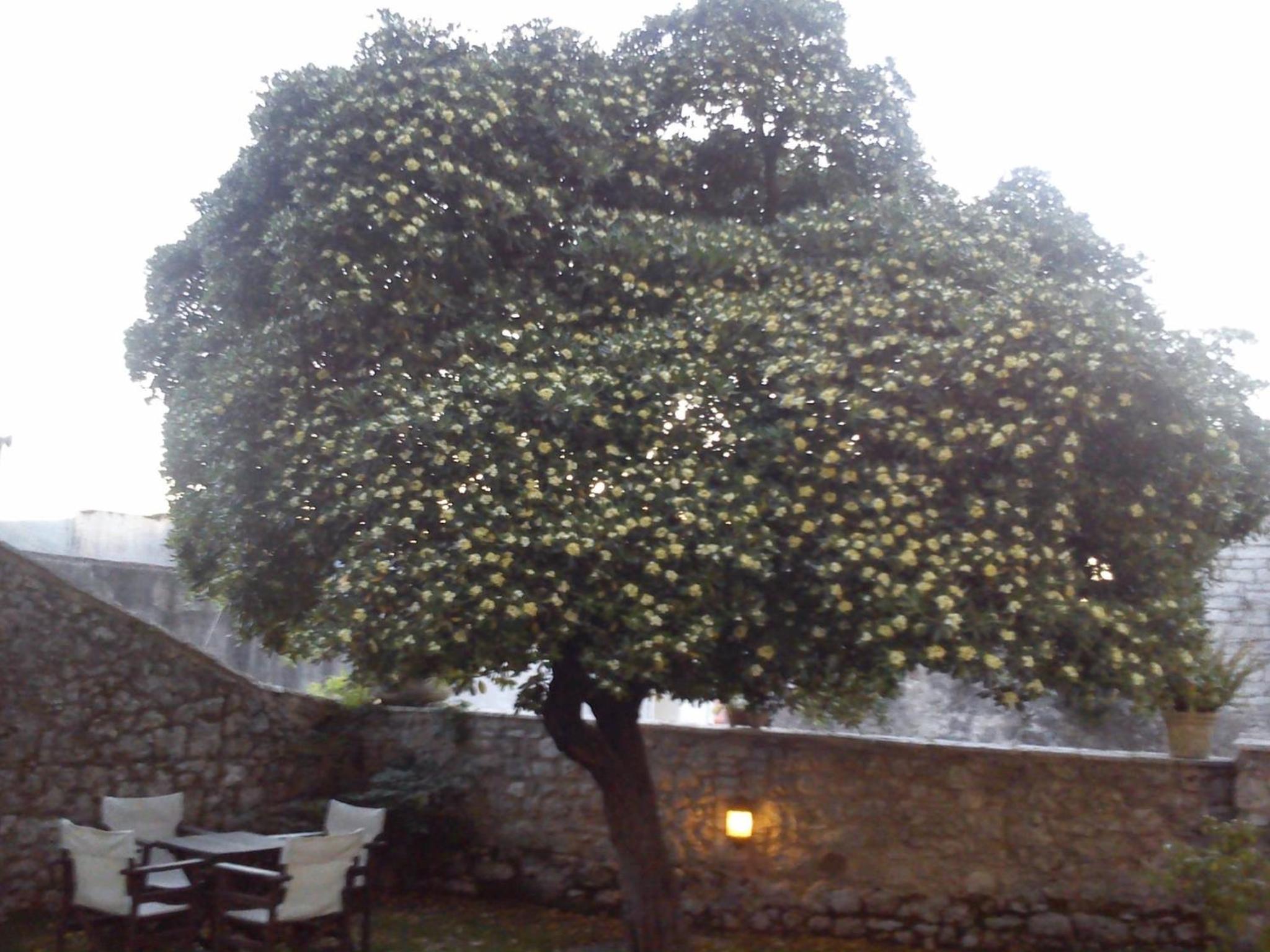 Photo 48