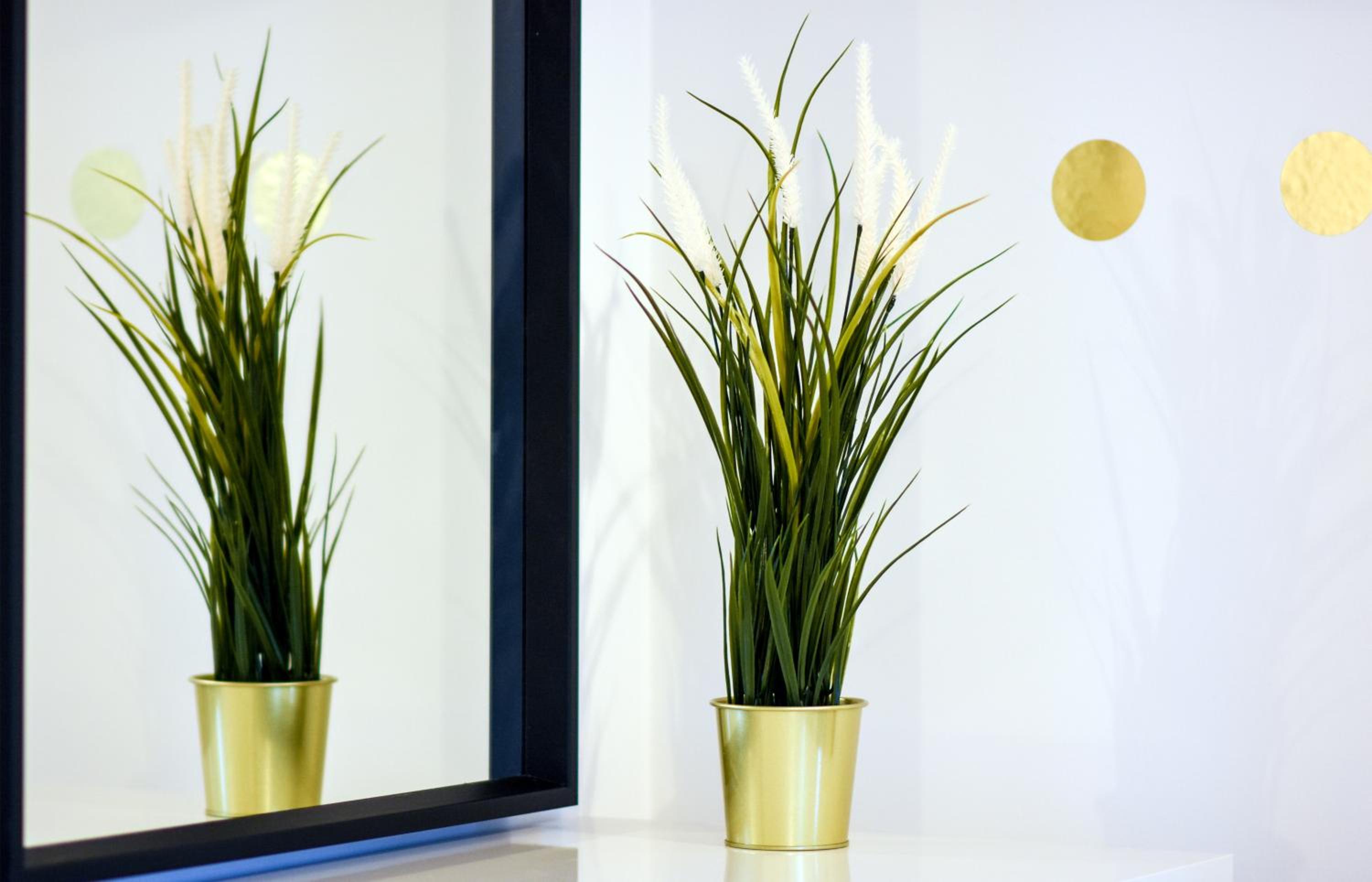 1 Bedroom Apartment Leamington Spa Hosted By Golden Key view 3