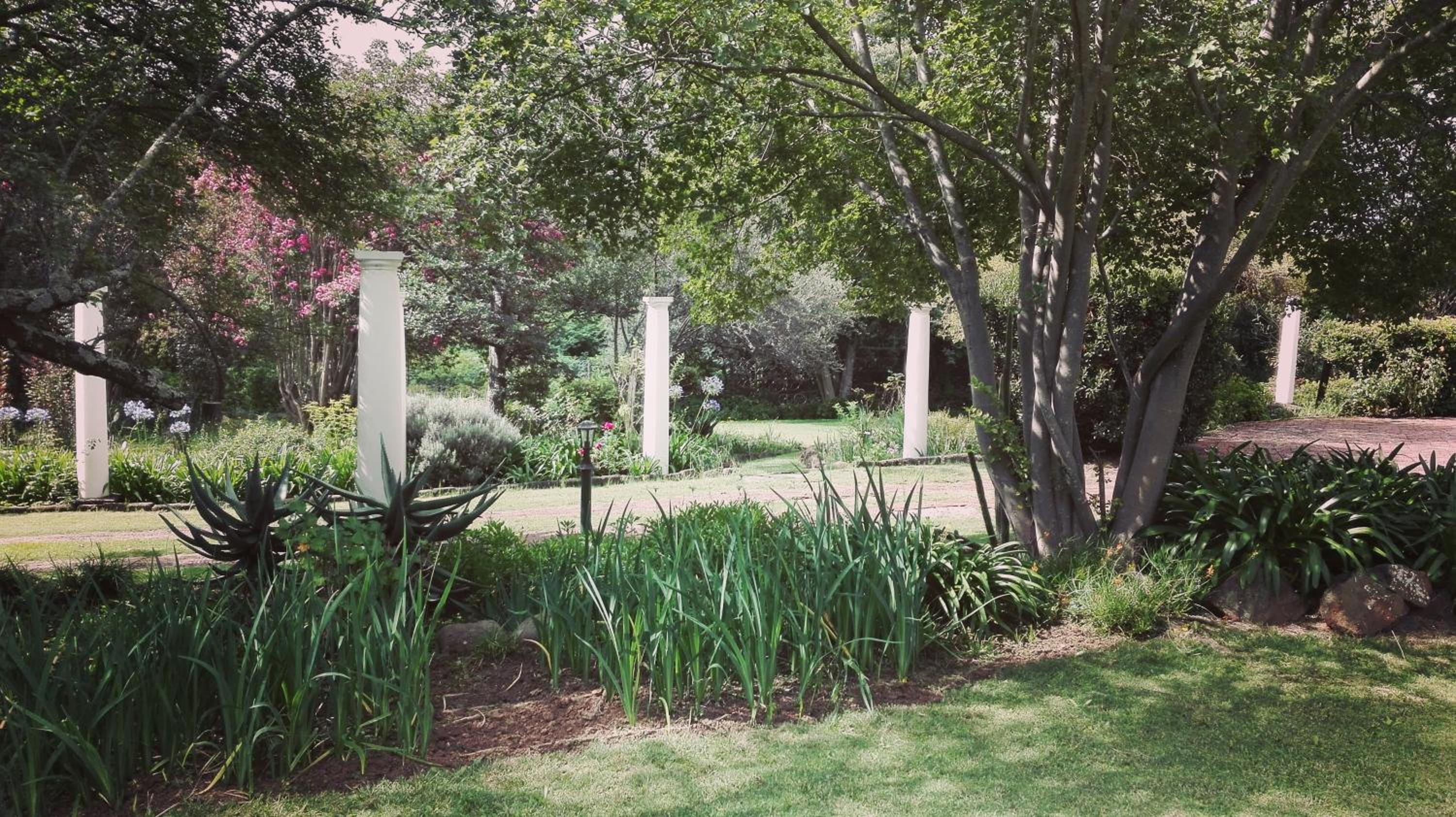 Photo 29