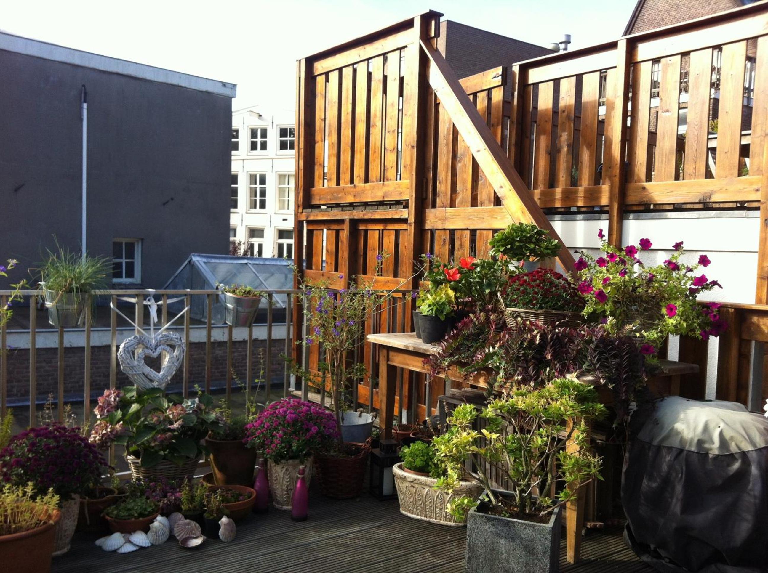 Prince On The Roof