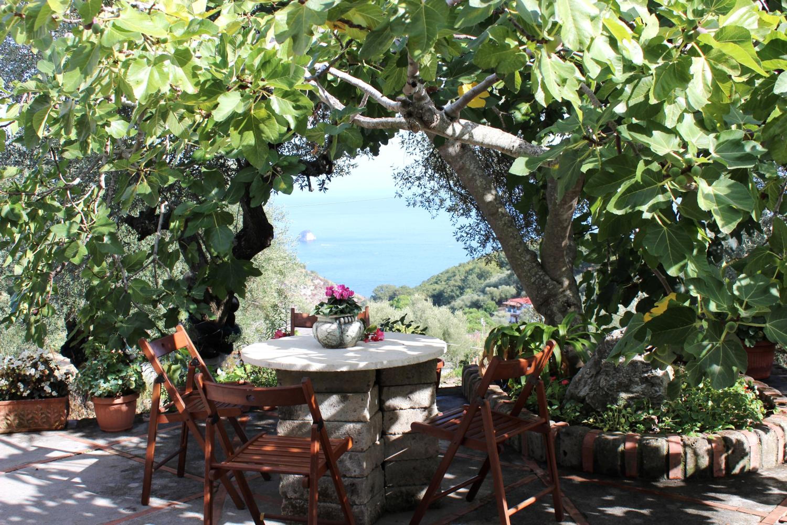 CASA JOSELLA photo 4