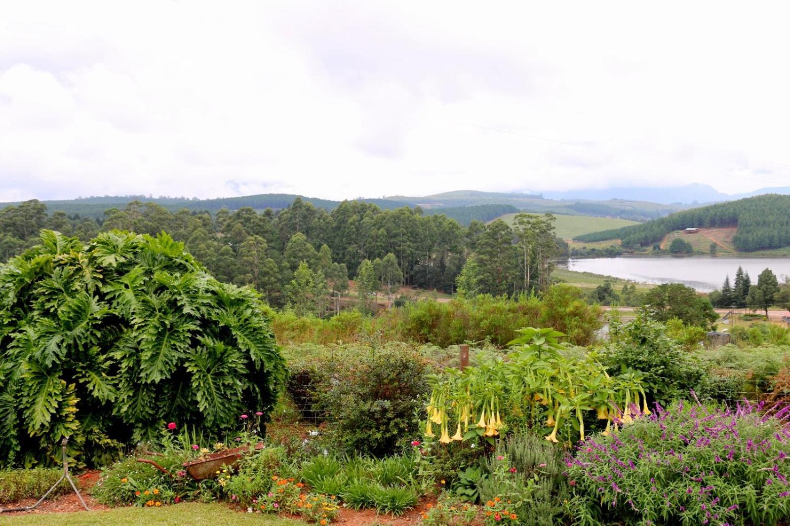 Lakeview Cottages view 2