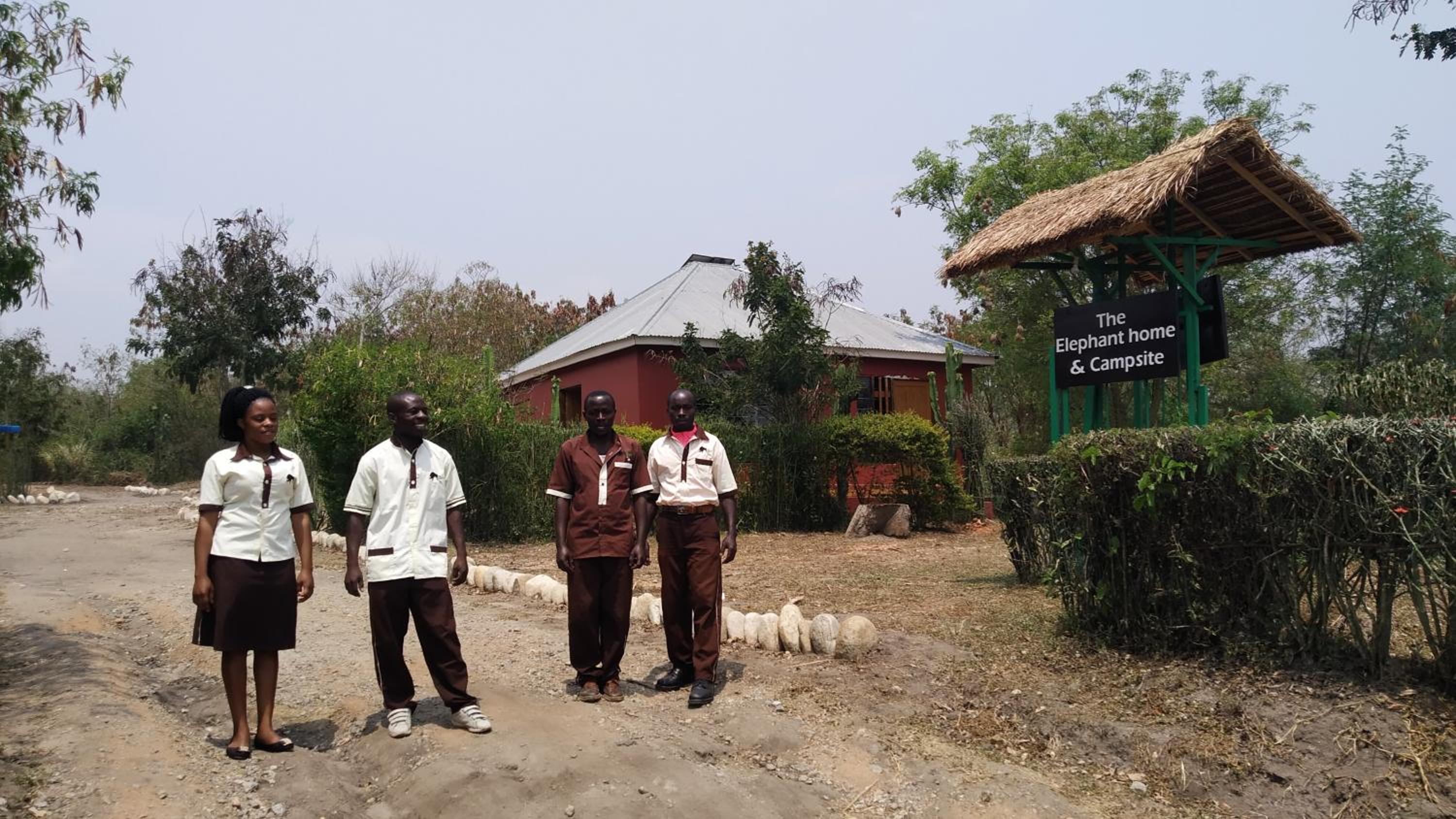 The Elephant Home