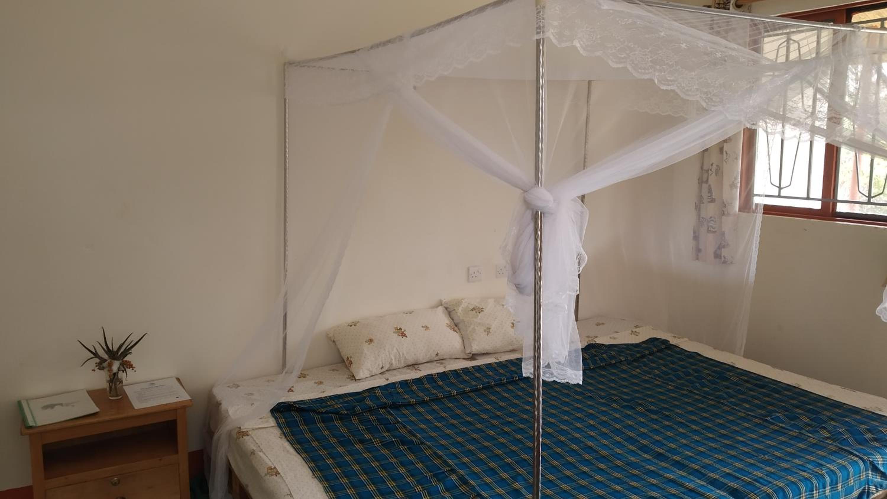 The Elephant Home