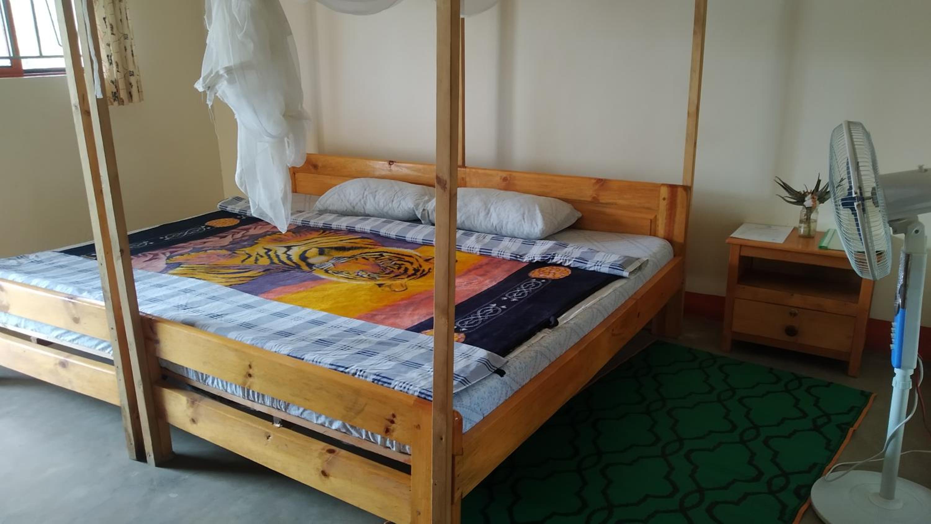 The Elephant Home