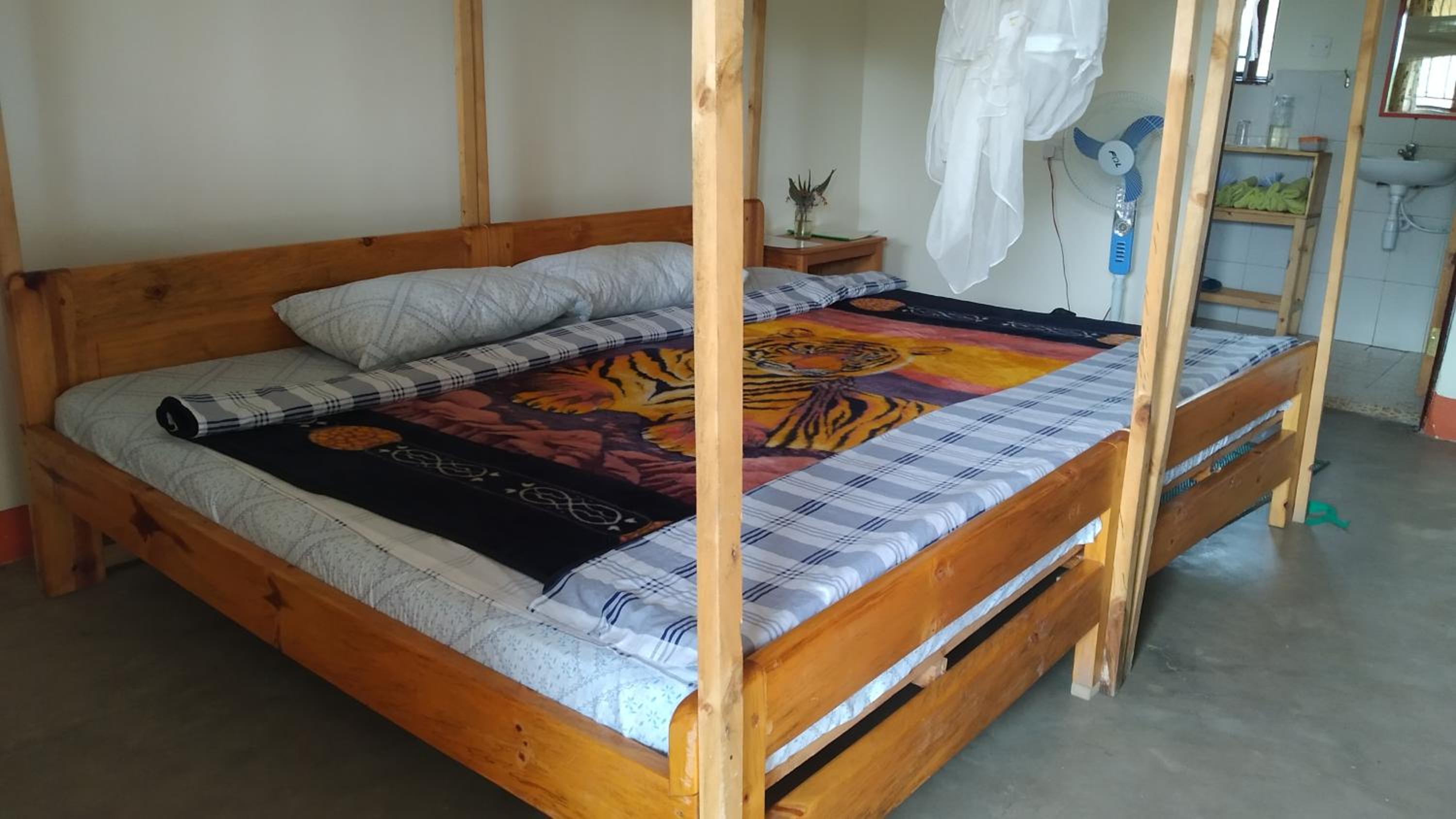 The Elephant Home