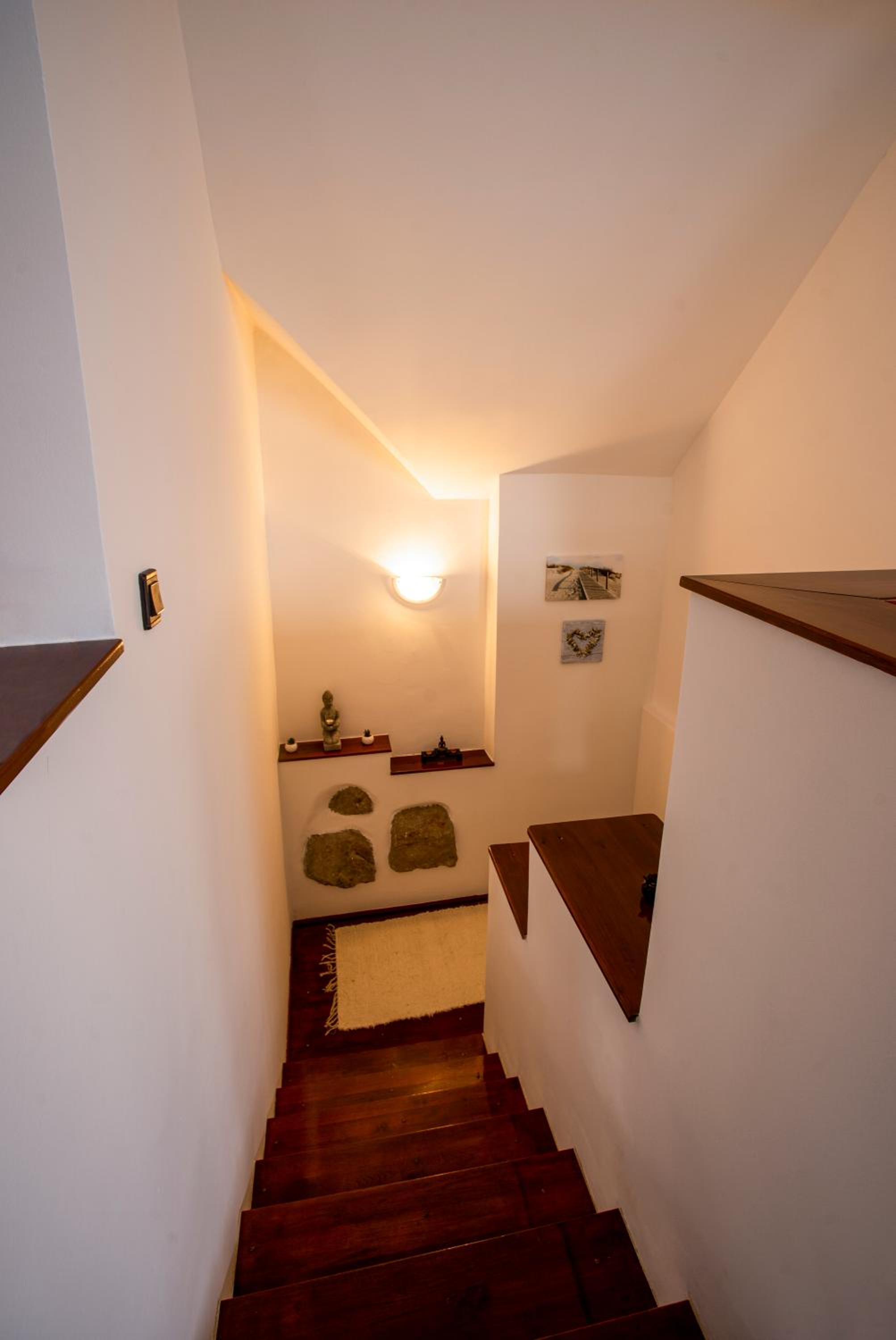 Szitakötő Apartman