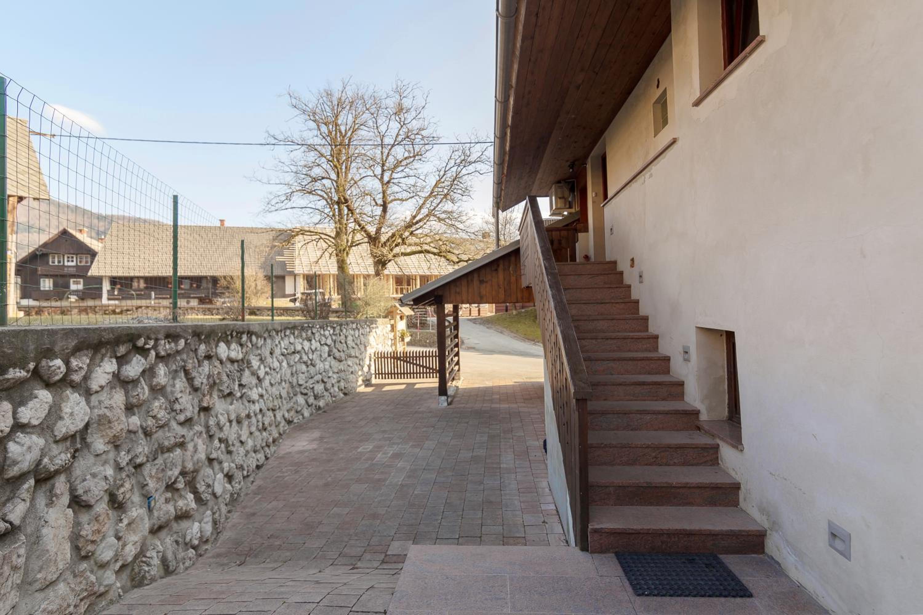 Photo 51