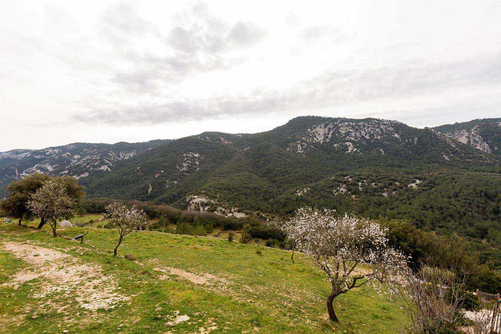 Photo 30