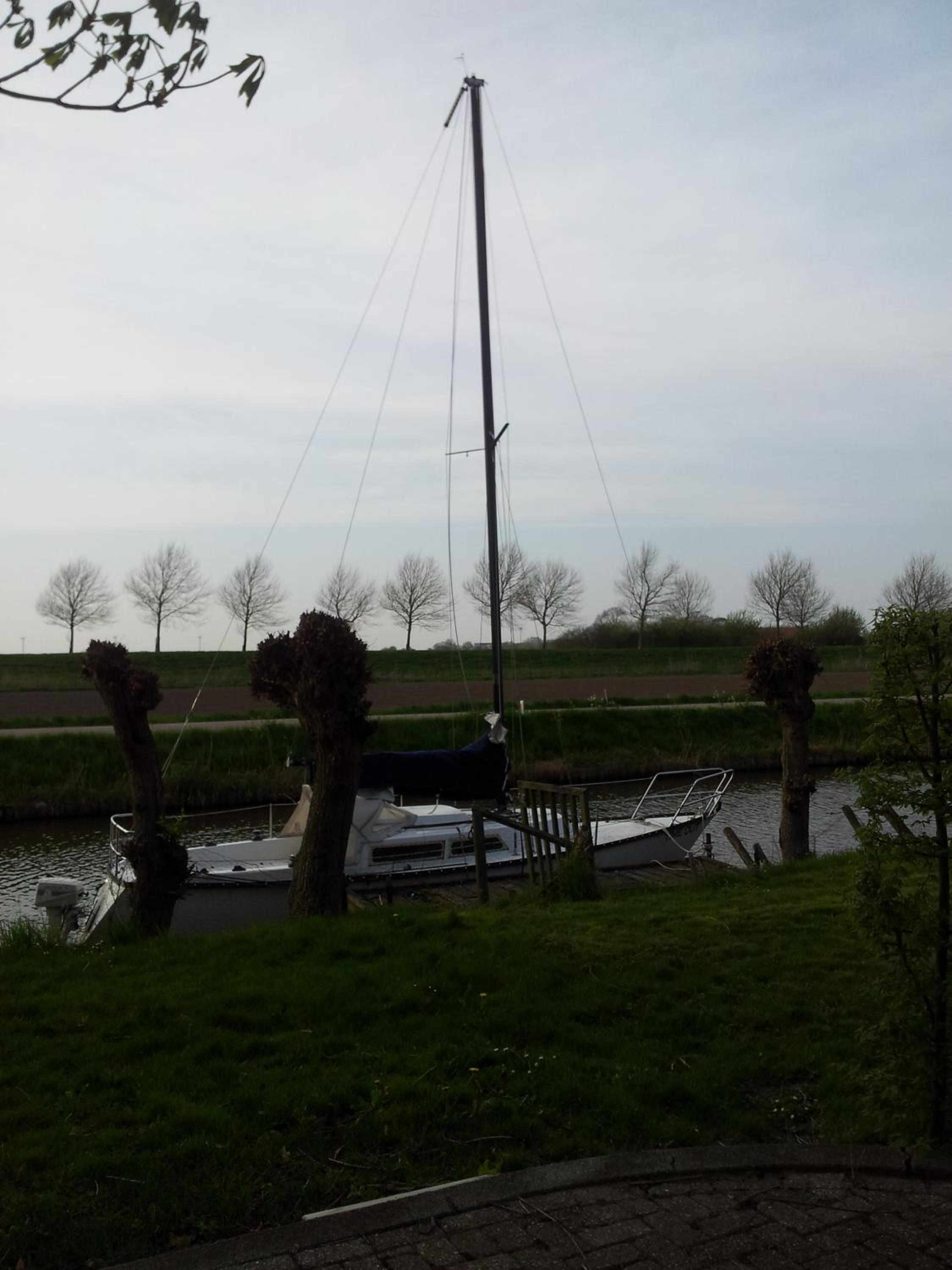 Photo 44