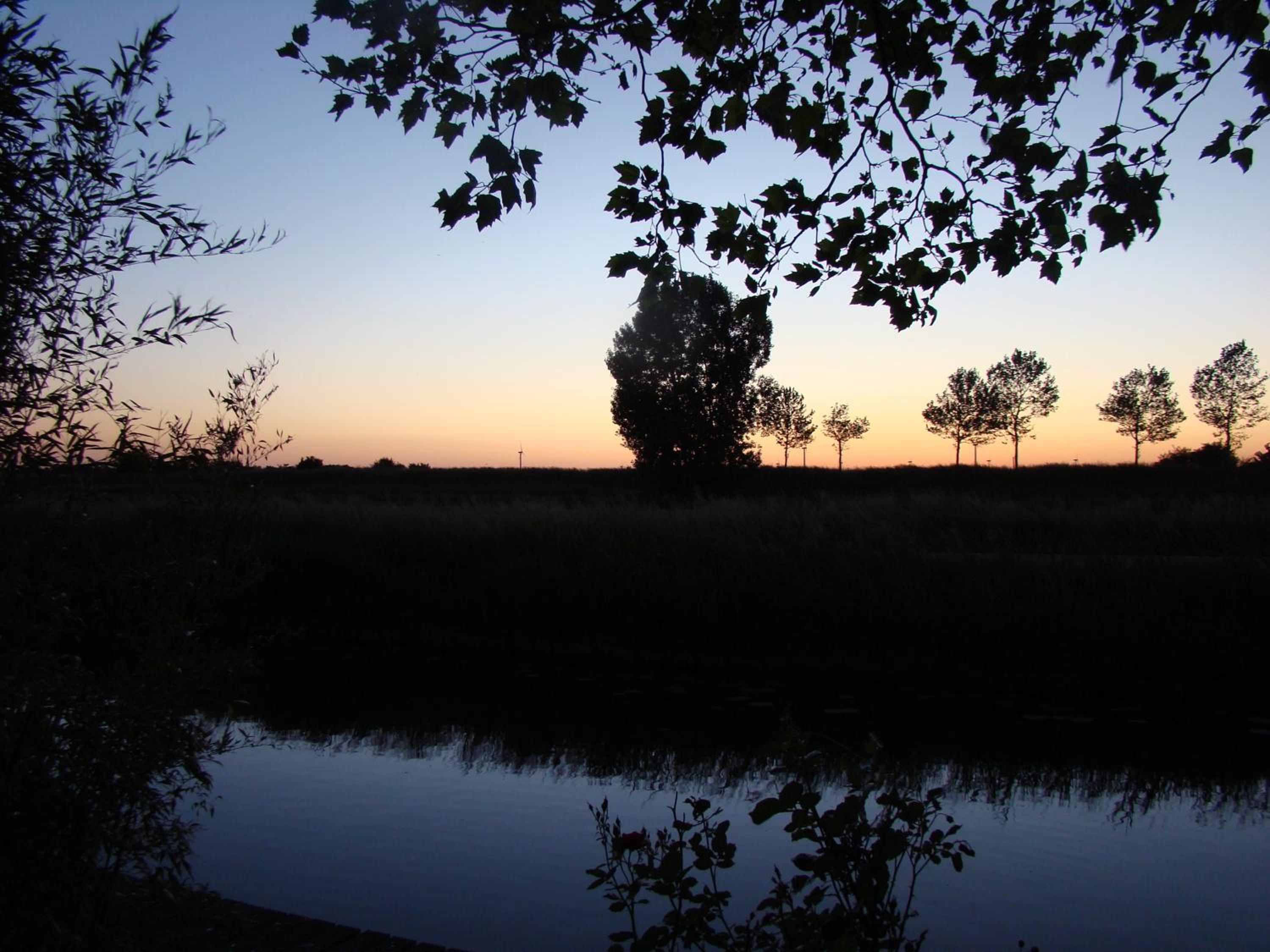 Photo 46