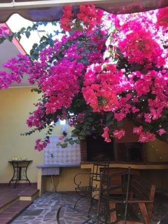 B&B Il Piccolo Giardino