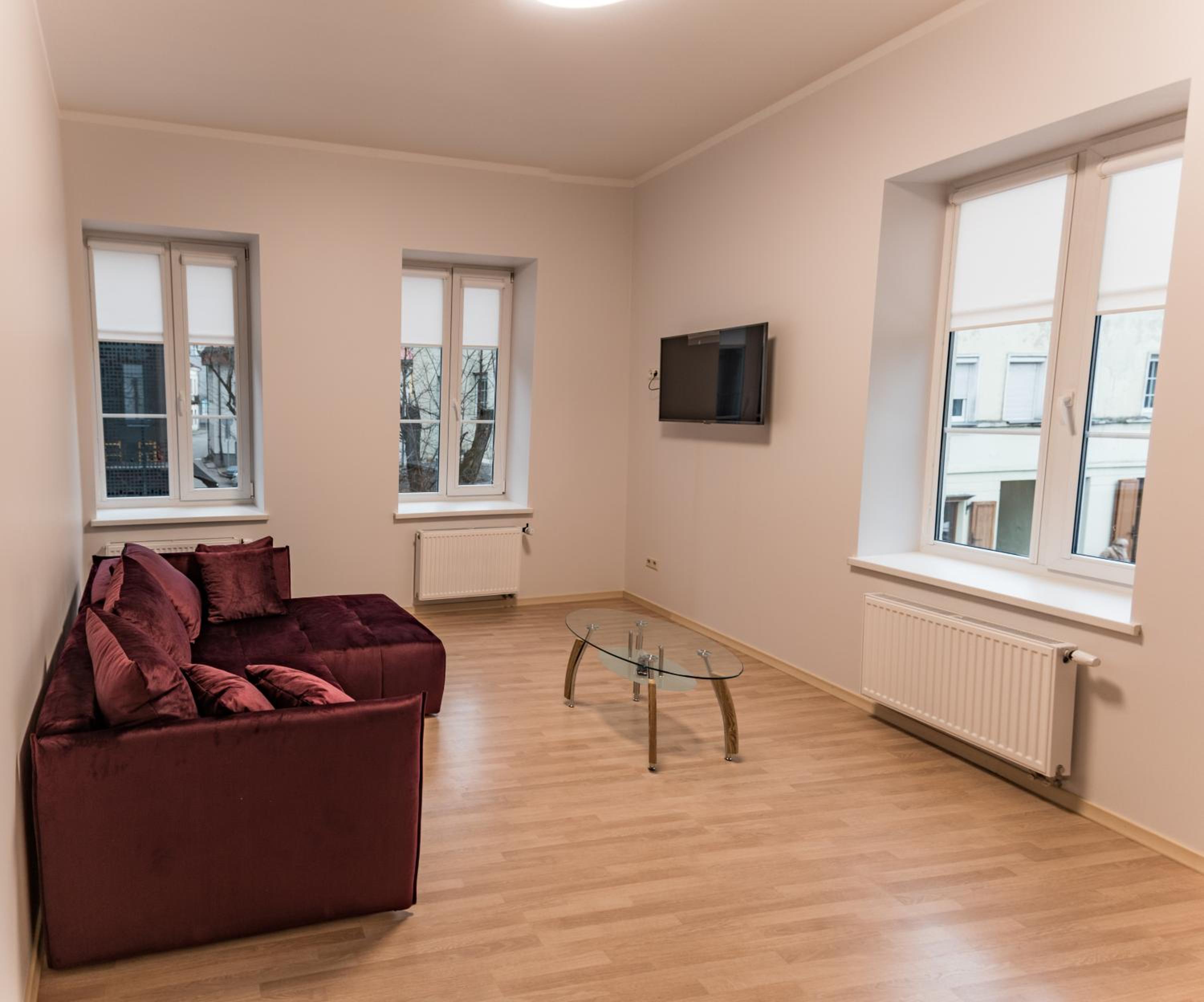 Kaunas Castle Apartments - One bedroom flat view 4